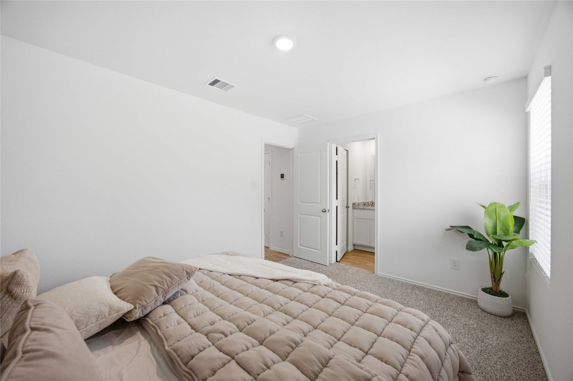 6029 Pineapple Street, Houston, TX 77048