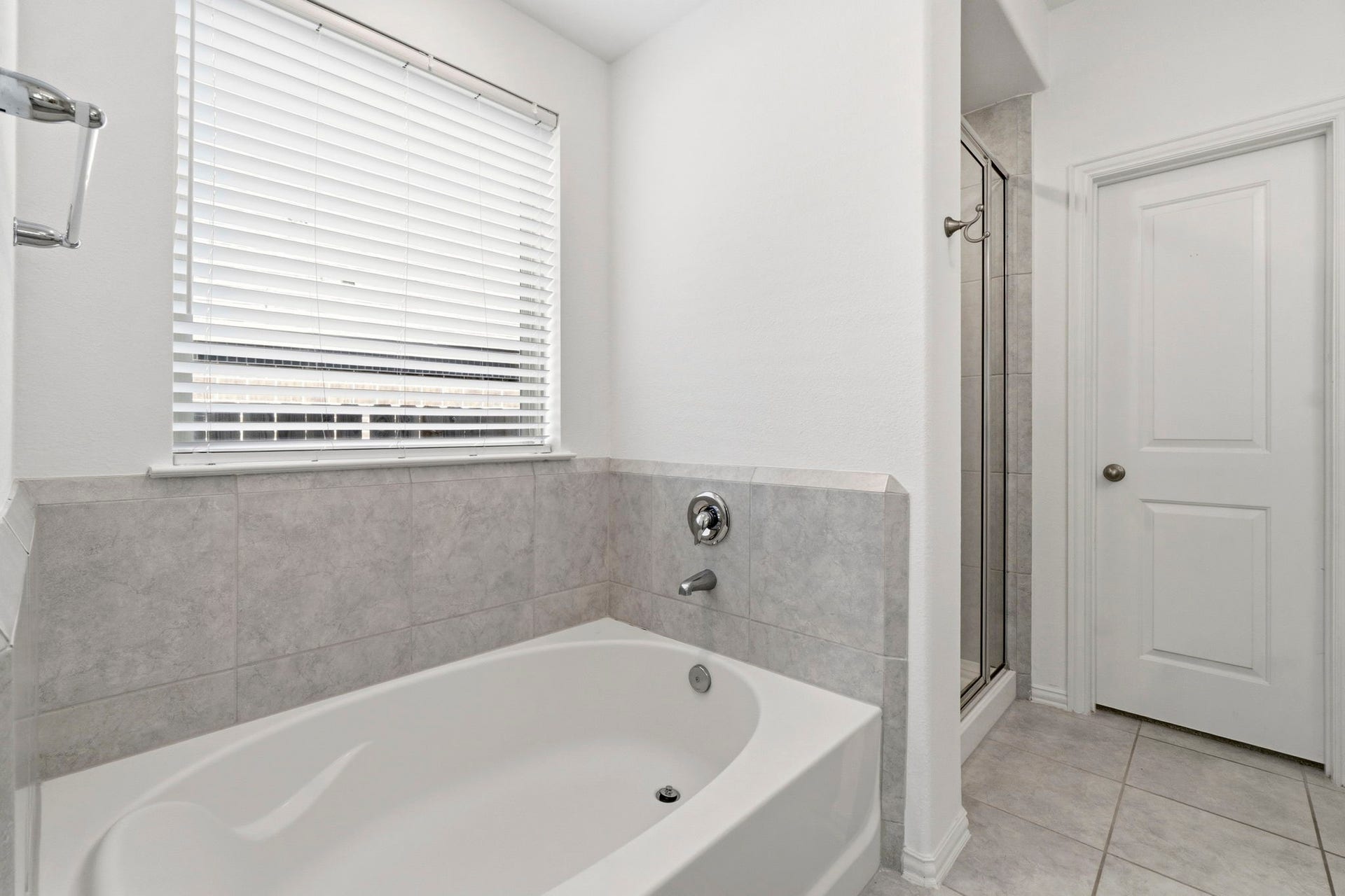 141 Emory Birch Drive, Montgomery, TX 77316 141 Emory Birch Drive, Montgomery, TX 77316