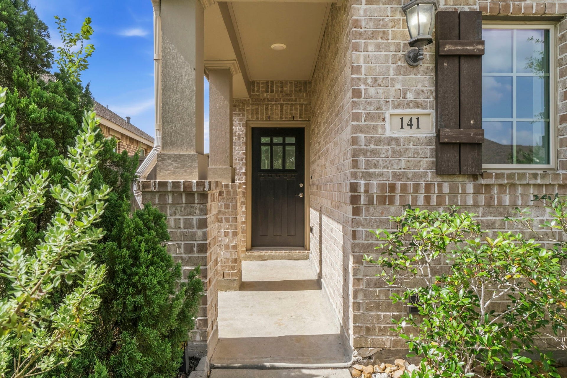 141 Emory Birch Drive, Montgomery, TX 77316 141 Emory Birch Drive, Montgomery, TX 77316
