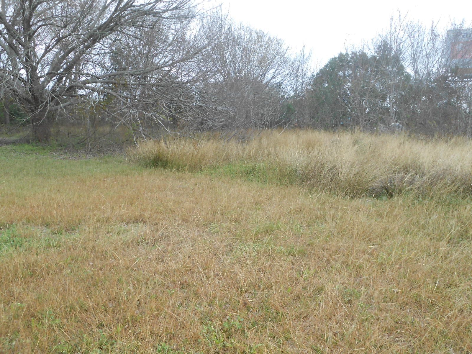 5900 HIWAY 6 S HIGHWAY Trafficway, Hitchcock, TX 77563 5900 HIWAY 6 S HIGHWAY Trafficway, Hitchcock, TX 77563