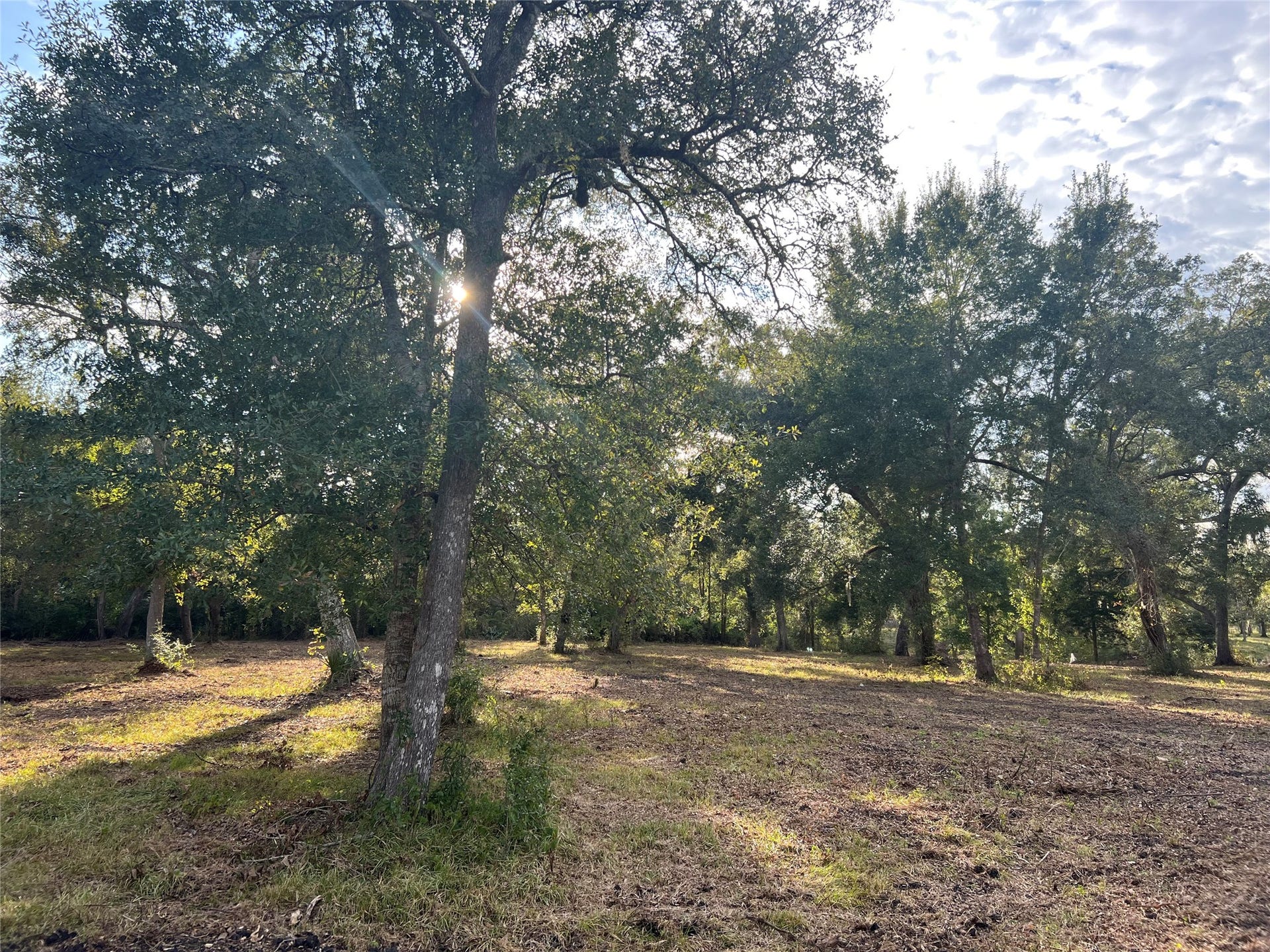 0 Cr-525, Sweeny, TX 77480 0 Cr-525, Sweeny, TX 77480