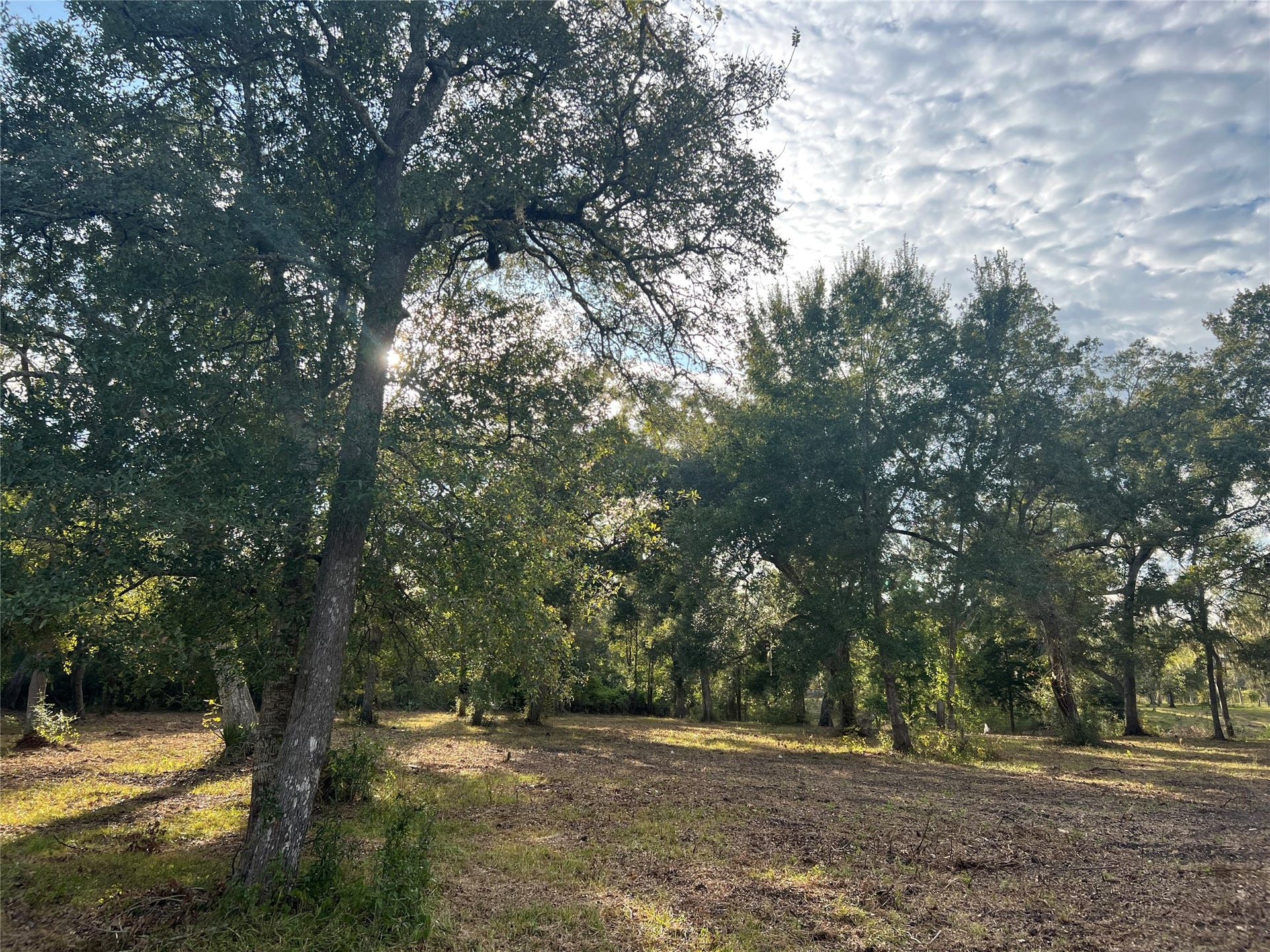 0 Cr-525, Sweeny, TX 77480 0 Cr-525, Sweeny, TX 77480