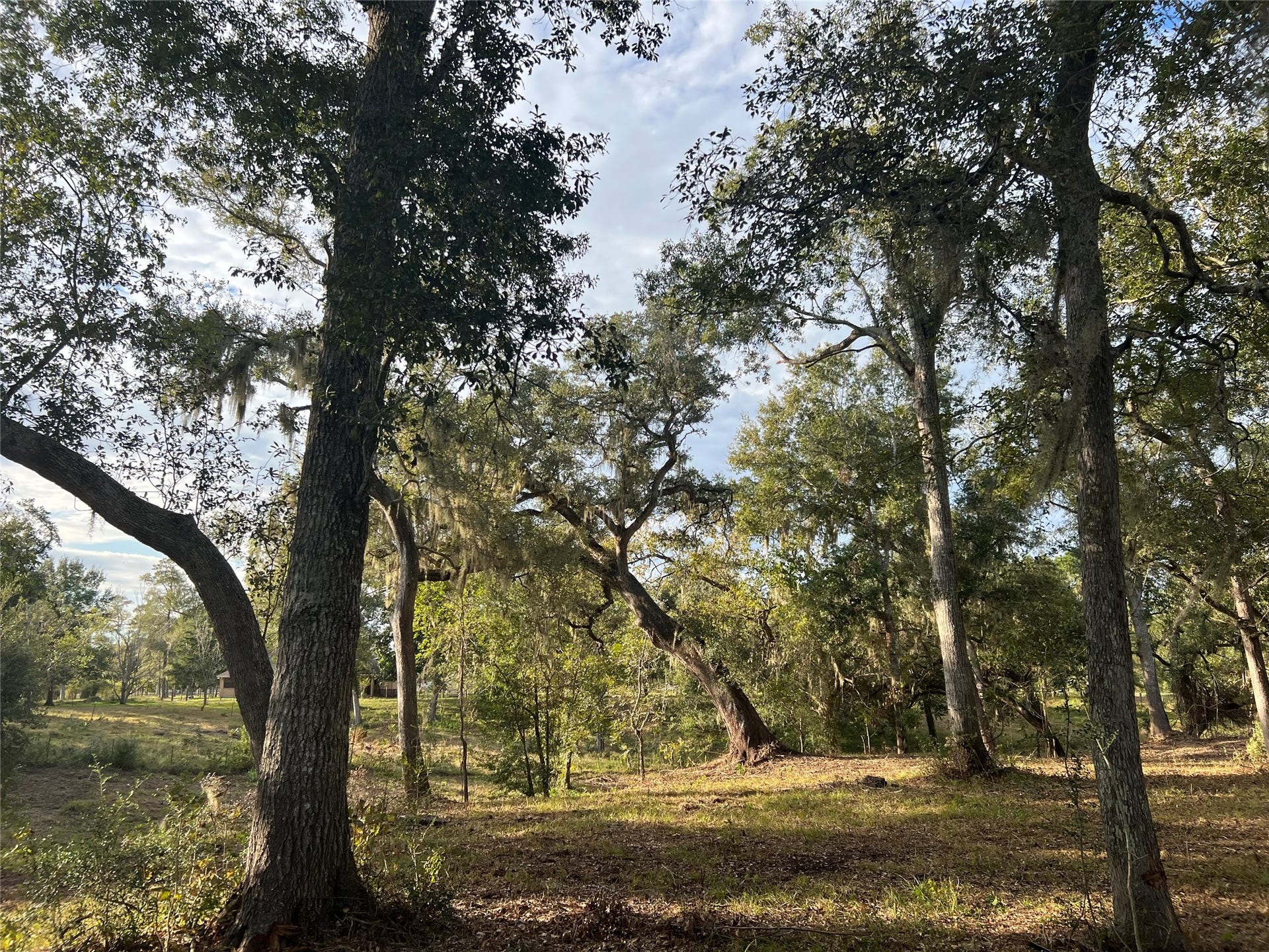 0 Cr-525, Sweeny, TX 77480 0 Cr-525, Sweeny, TX 77480