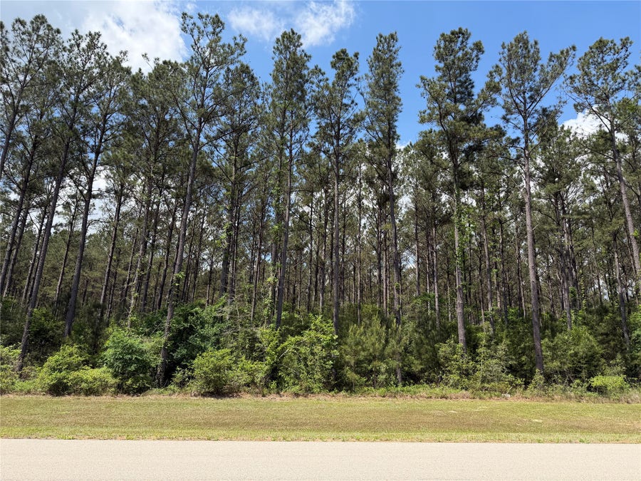 Property photo for 15693 Wooded Trail Way, Willis, TX