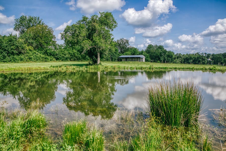 Property photo for 0000 Mock Lane, Montgomery, TX