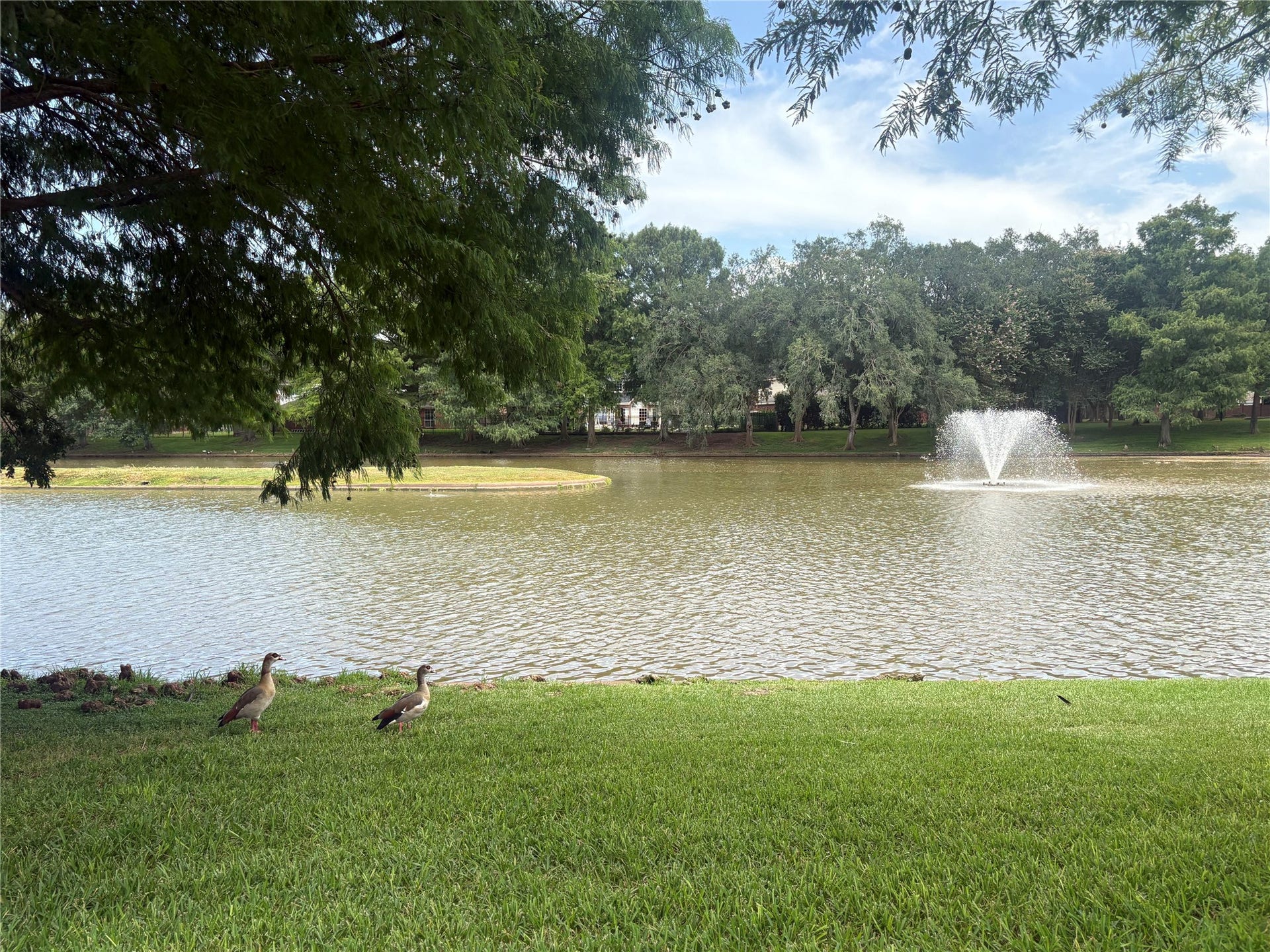Beautiful lake across the street on the south side of the property.