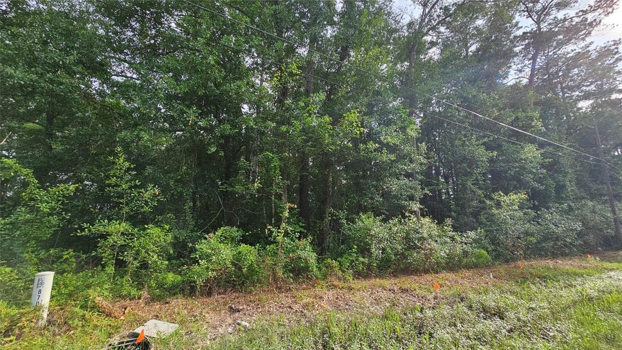 Property photo for 26750 & 26698 Peach Creek Drive, New Caney, TX