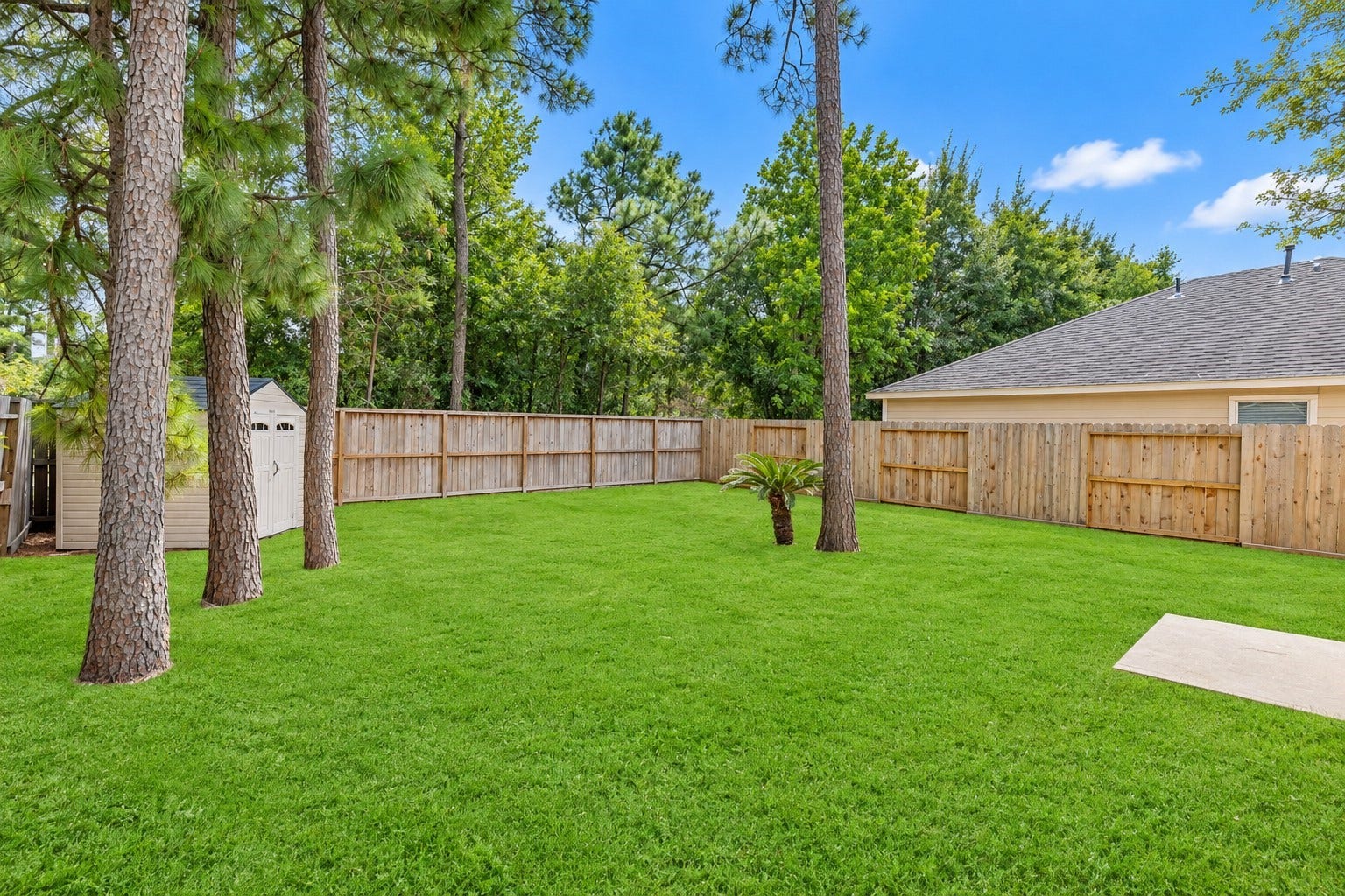 2318 Colonial Springs Lane, Spring, TX 77386 Private backyard with no rear neighbors. Grass has been enhanced.