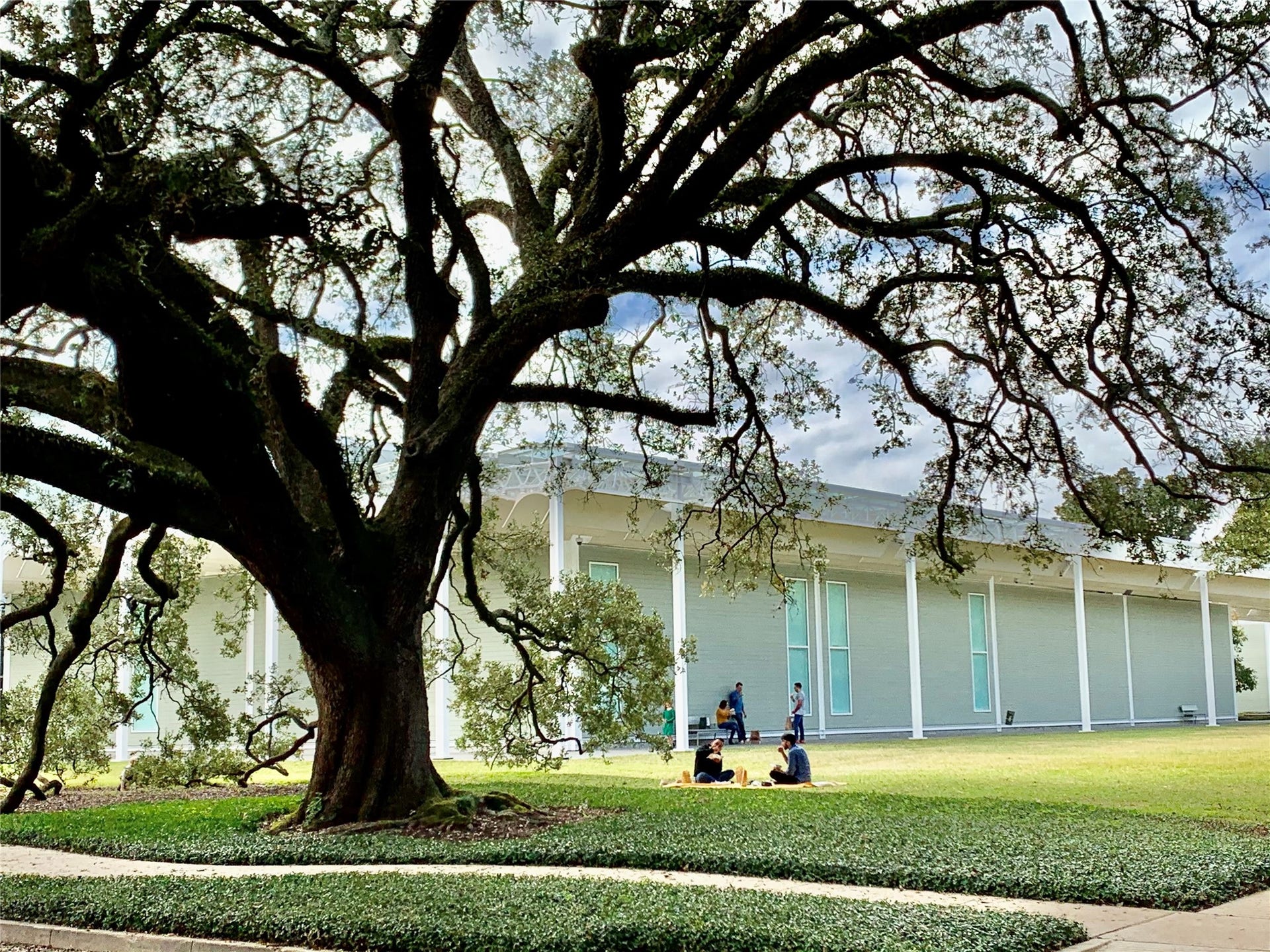 2602 Whitney Street, Houston, TX 77006 A short distance to Houston's amazing Museum District