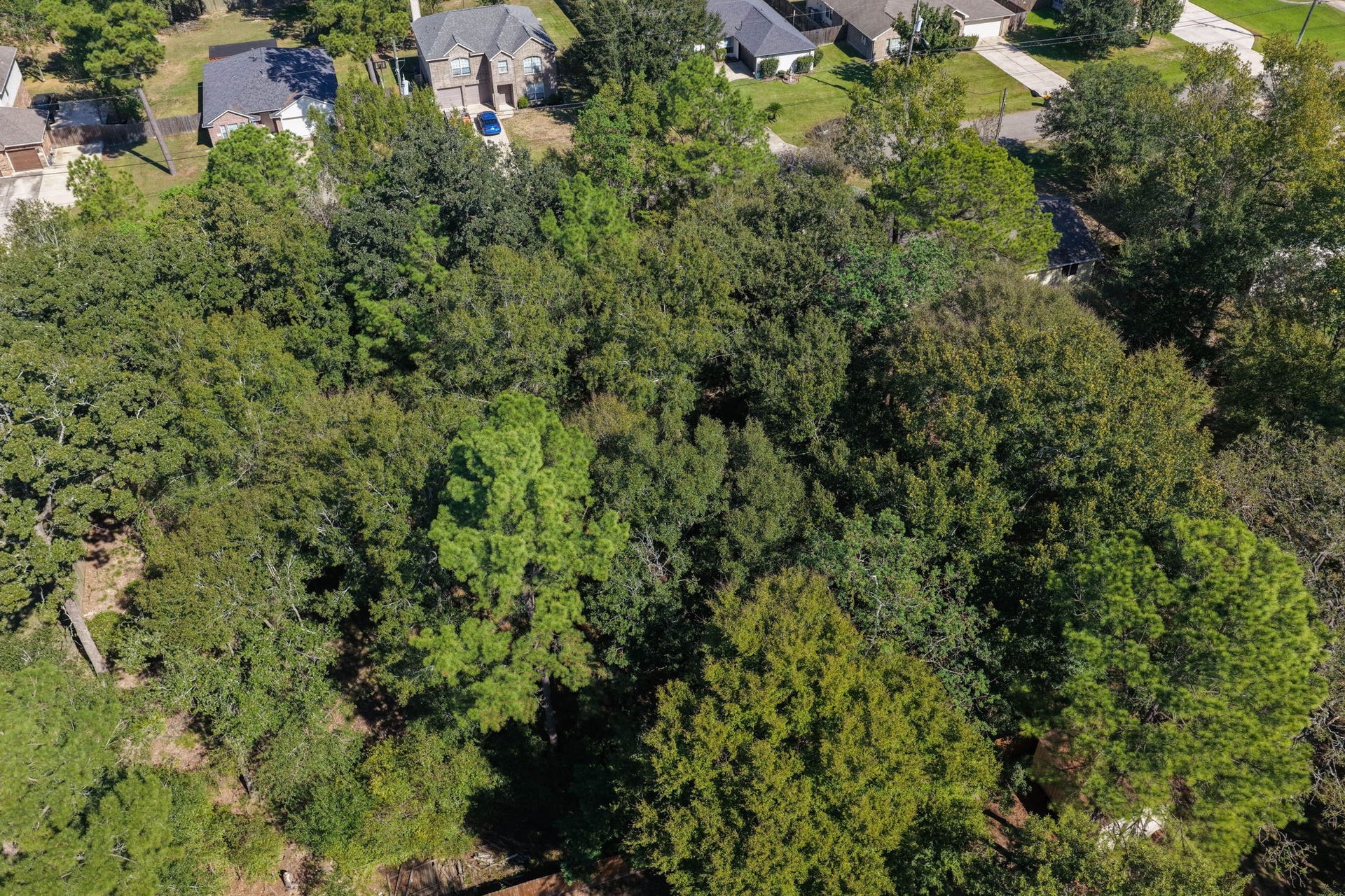 6621 Grant, Magnolia, TX 77354 6621 Grant, Magnolia, TX 77354