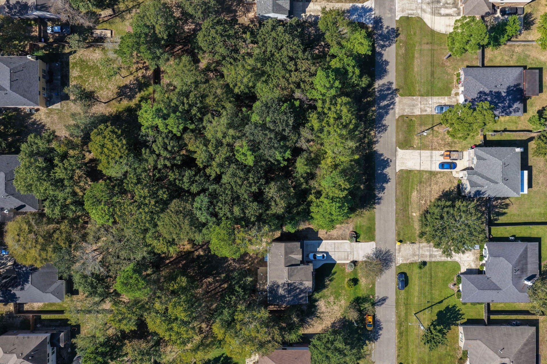6621 Grant, Magnolia, TX 77354 6621 Grant, Magnolia, TX 77354