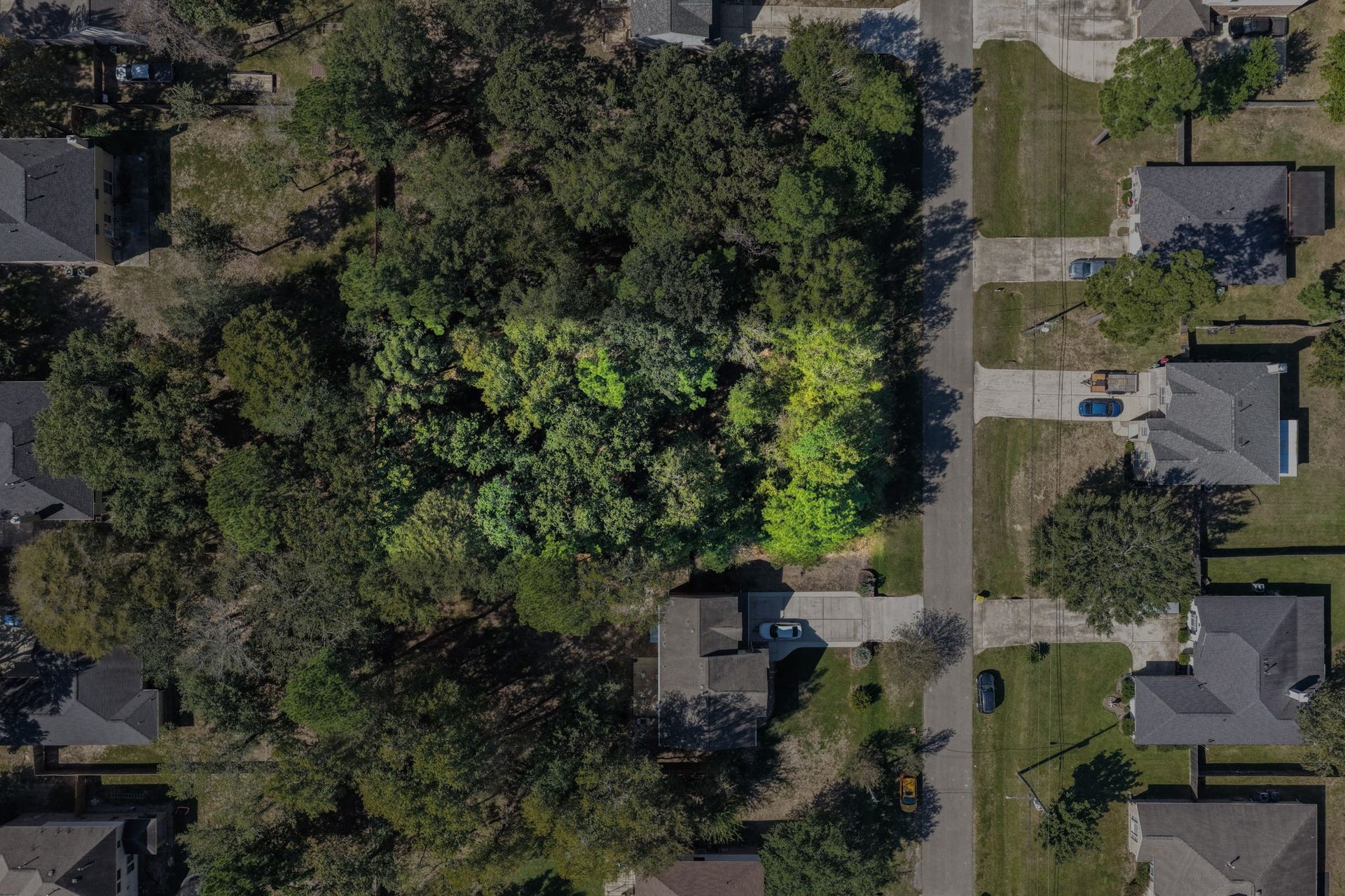 6621 Grant, Magnolia, TX 77354 6621 Grant, Magnolia, TX 77354