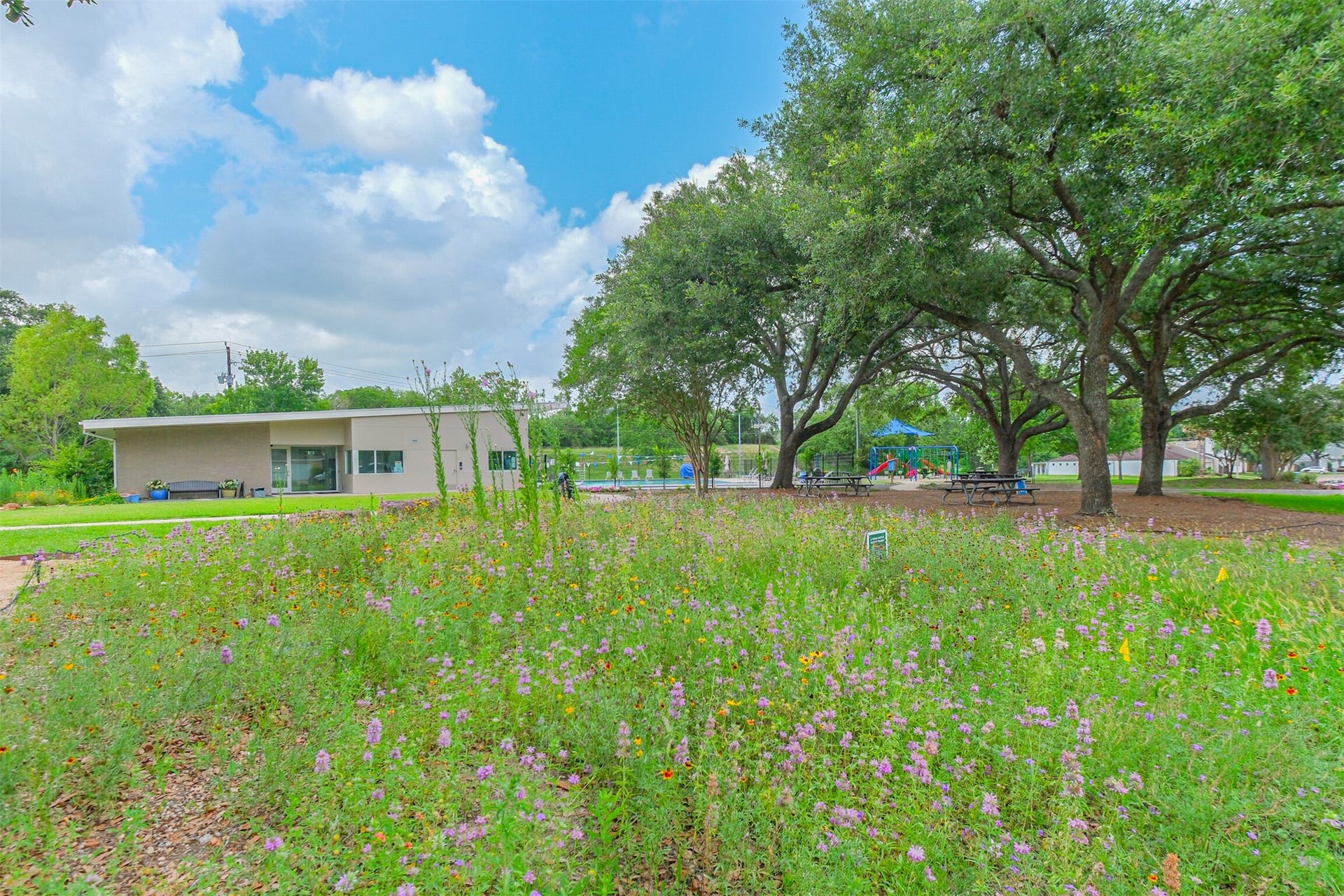 14211 Swiss Hill Drive, Houston, TX 77077 Briarhills is proud of their wildflower garden!