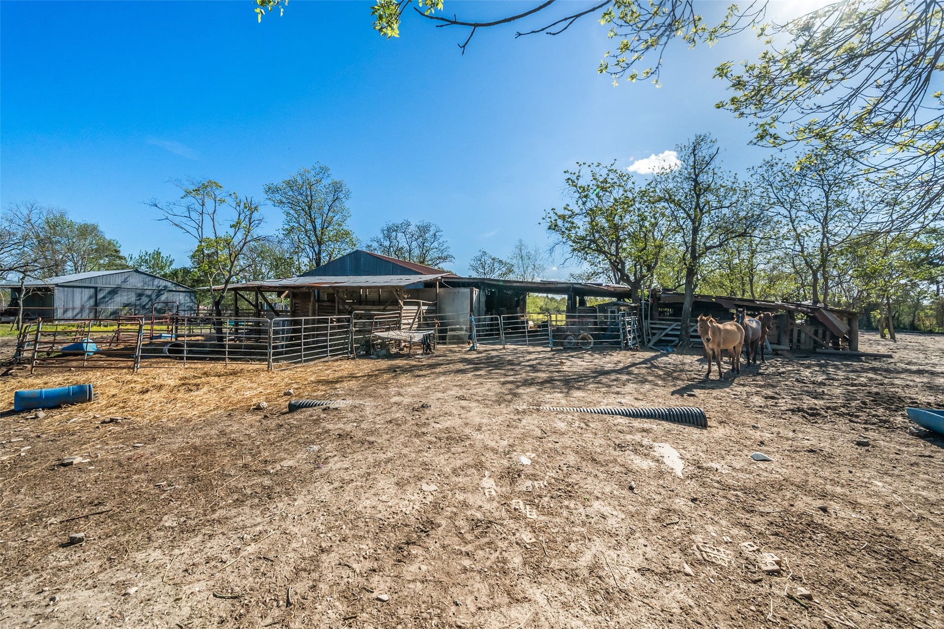 1227 Ave L, Santa Fe, TX 77510 Plenty of space