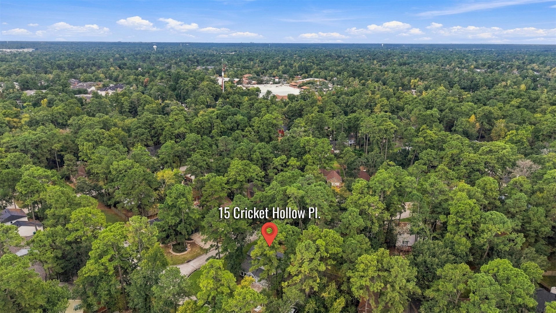 15 Cricket Hollow Place, The Woodlands, TX 77381 15 Cricket Hollow Place, The Woodlands, TX 77381