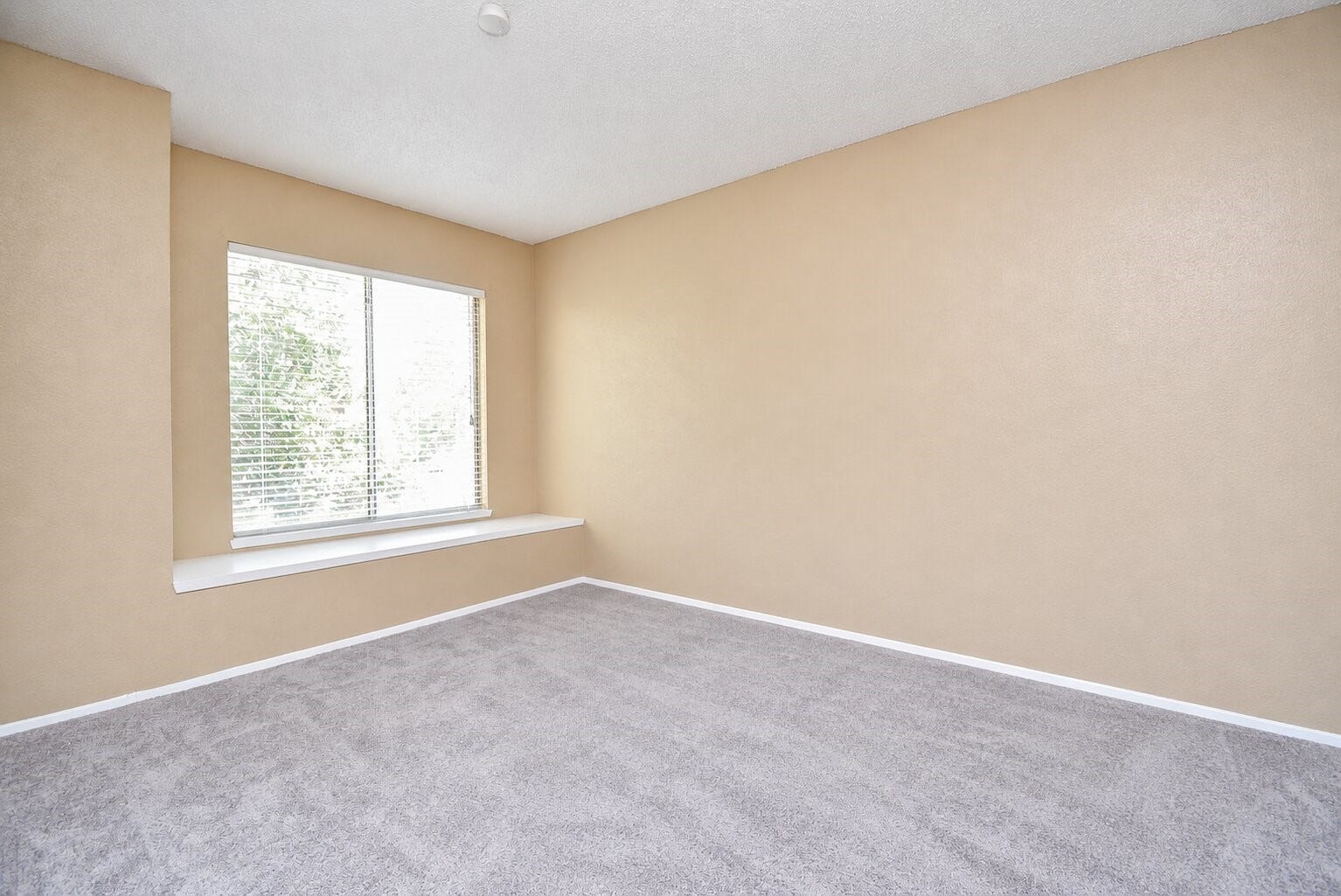 6168 W Airport Boulevard, #16, Houston, TX 77035 6168 W Airport Boulevard, #16, Houston, TX 77035