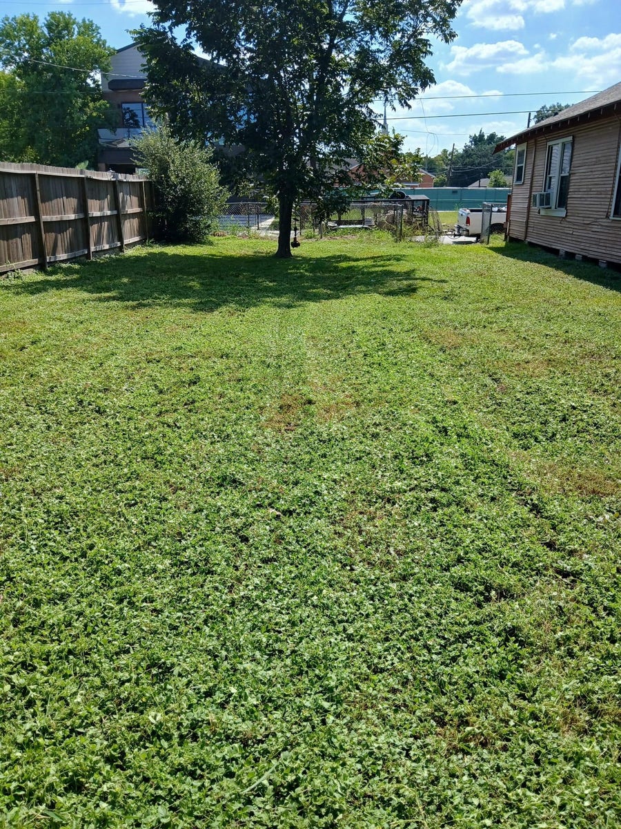 Property photo for 3435 Anita Street, Houston, TX
