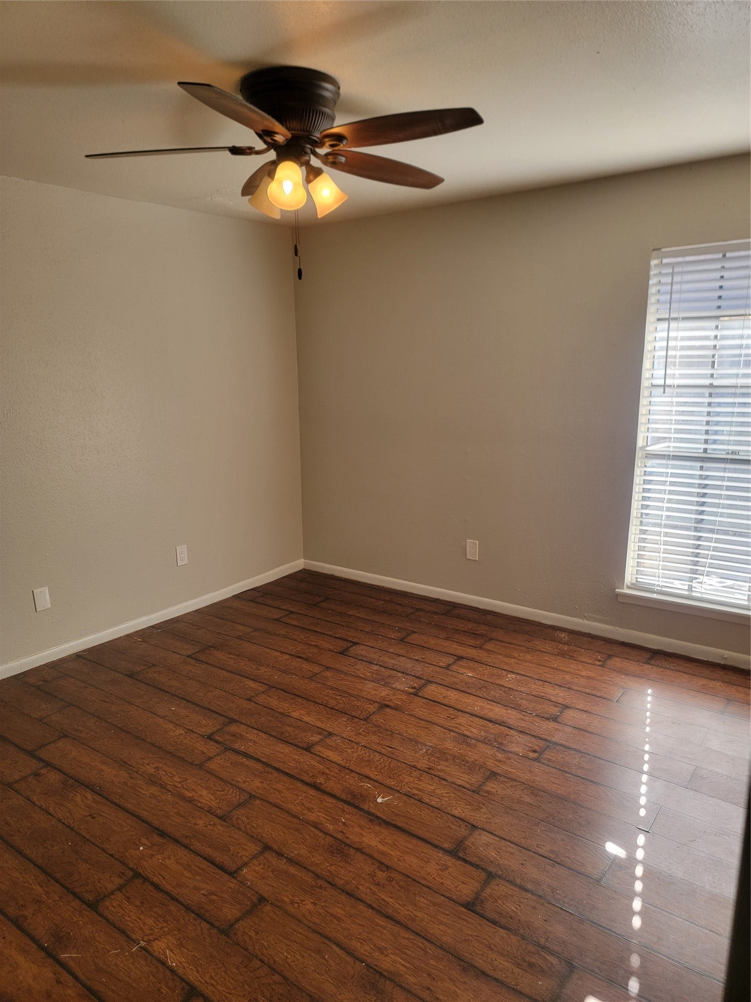 8901 S Braeswood Boulevard, #107, Houston, TX 77074 8901 S Braeswood Boulevard, #107, Houston, TX 77074