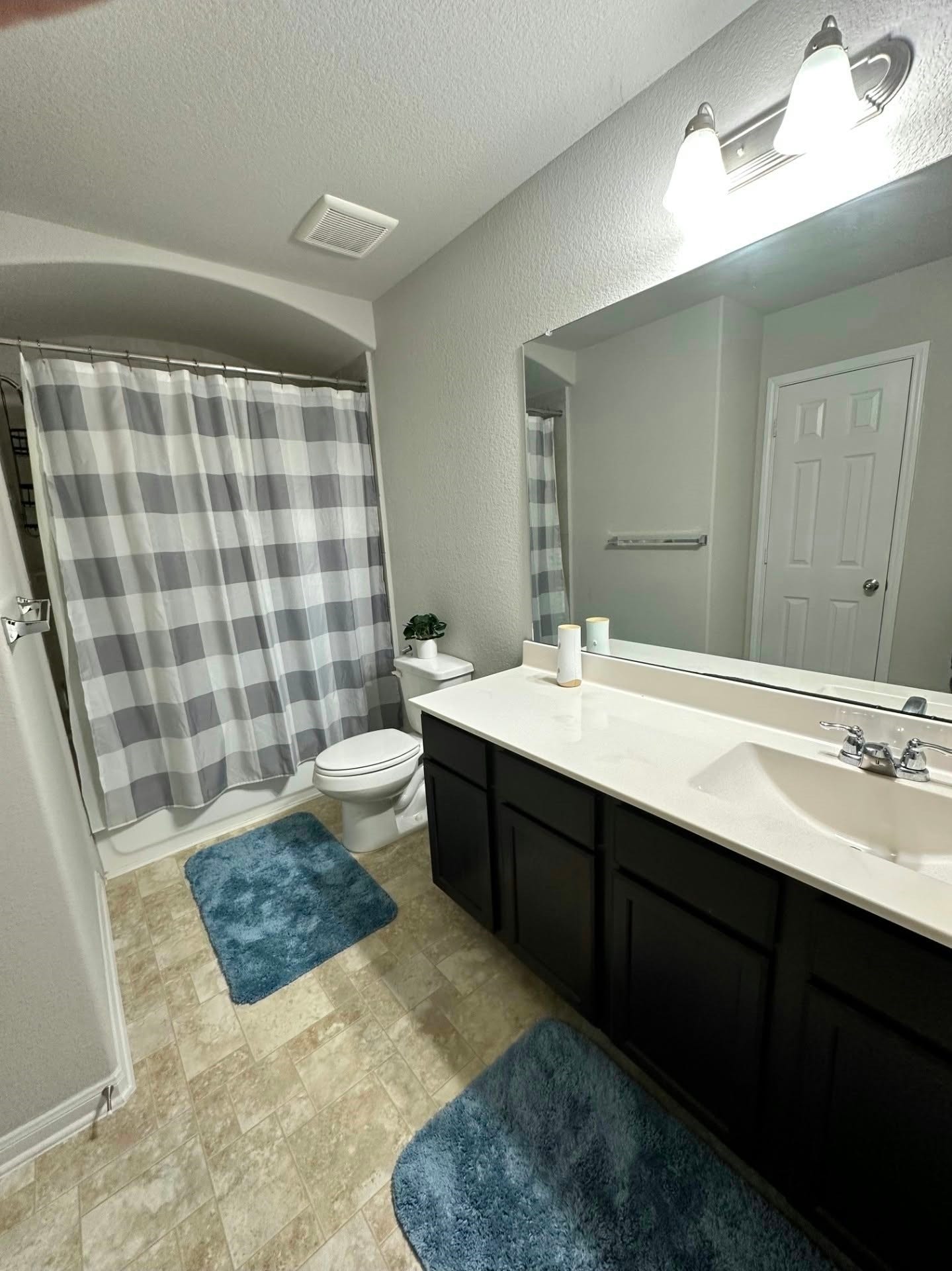 2226 Hidden Embers Path, Fresno, TX 77545