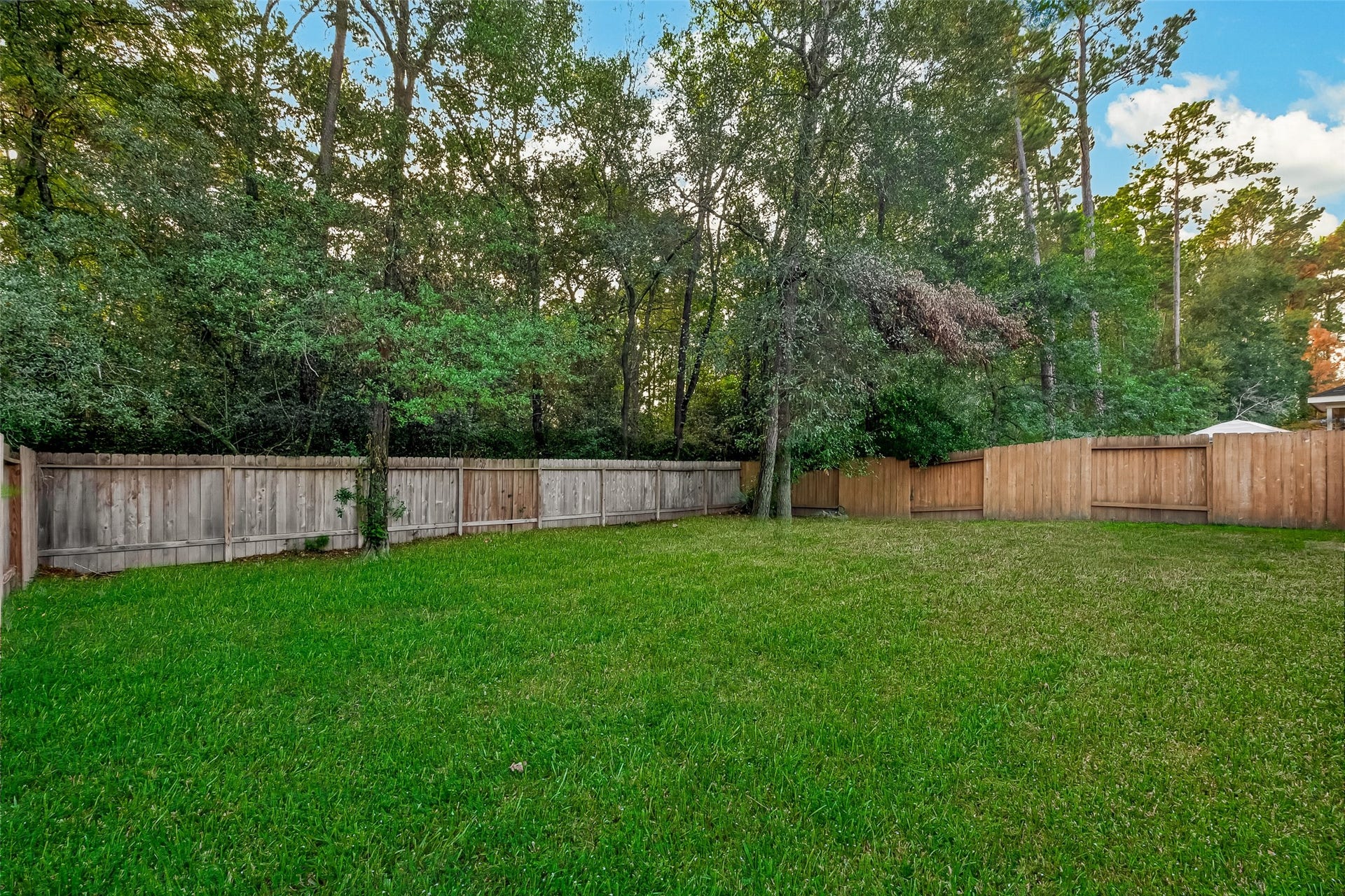 2011 Lost Timbers Drive, Conroe, TX 77304 2011 Lost Timbers Drive, Conroe, TX 77304