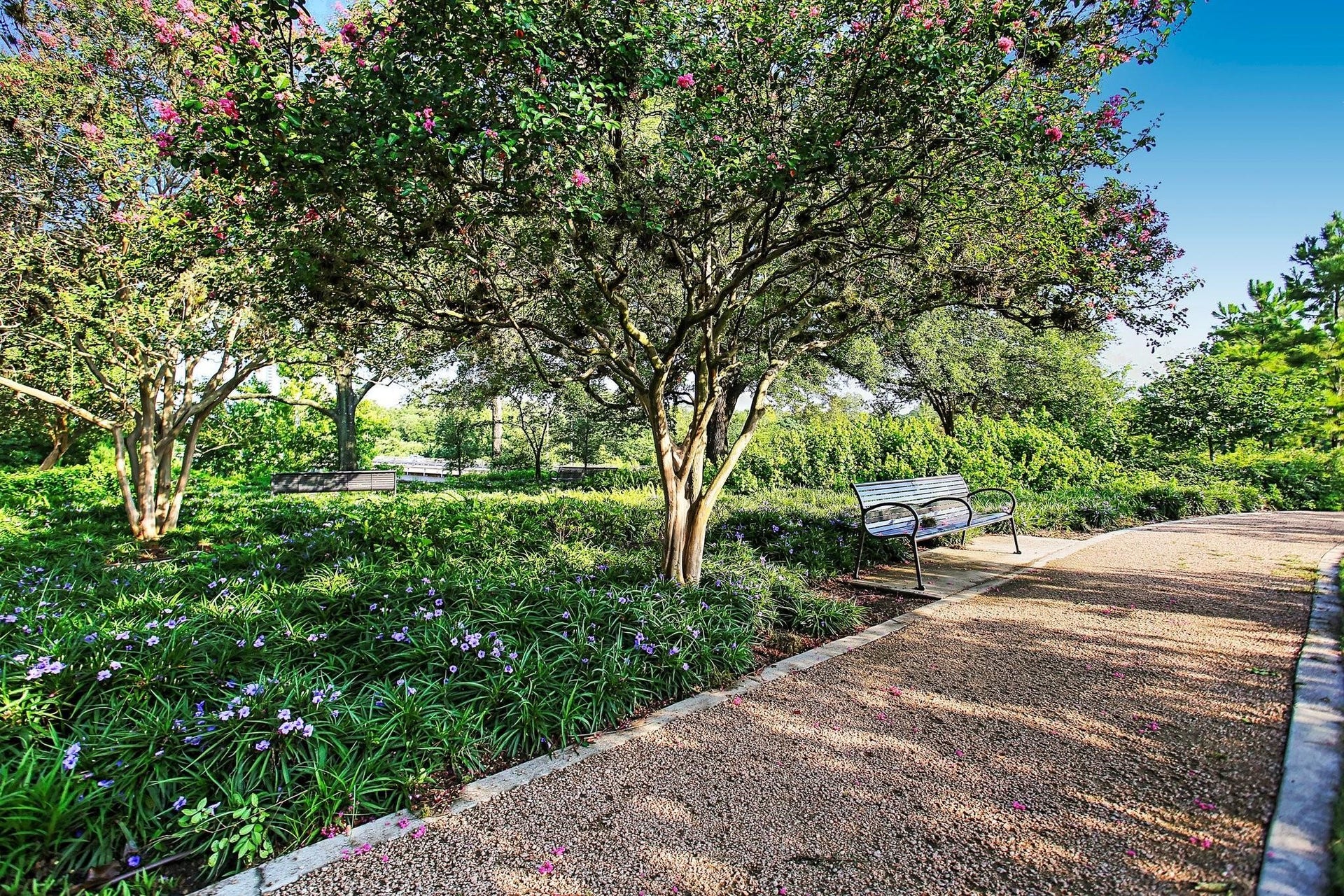 707 Lester Street, Houston, TX 77007