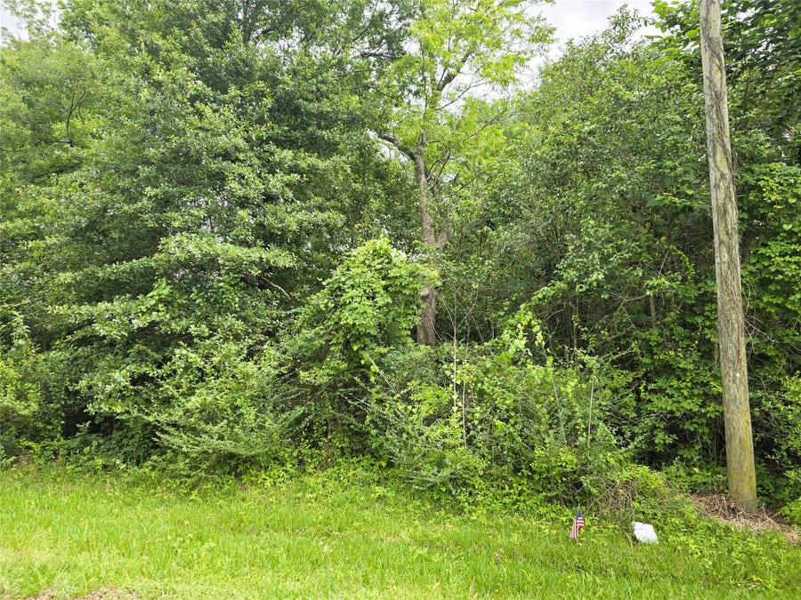 Property photo for 407 S 6th St,, Conroe, TX