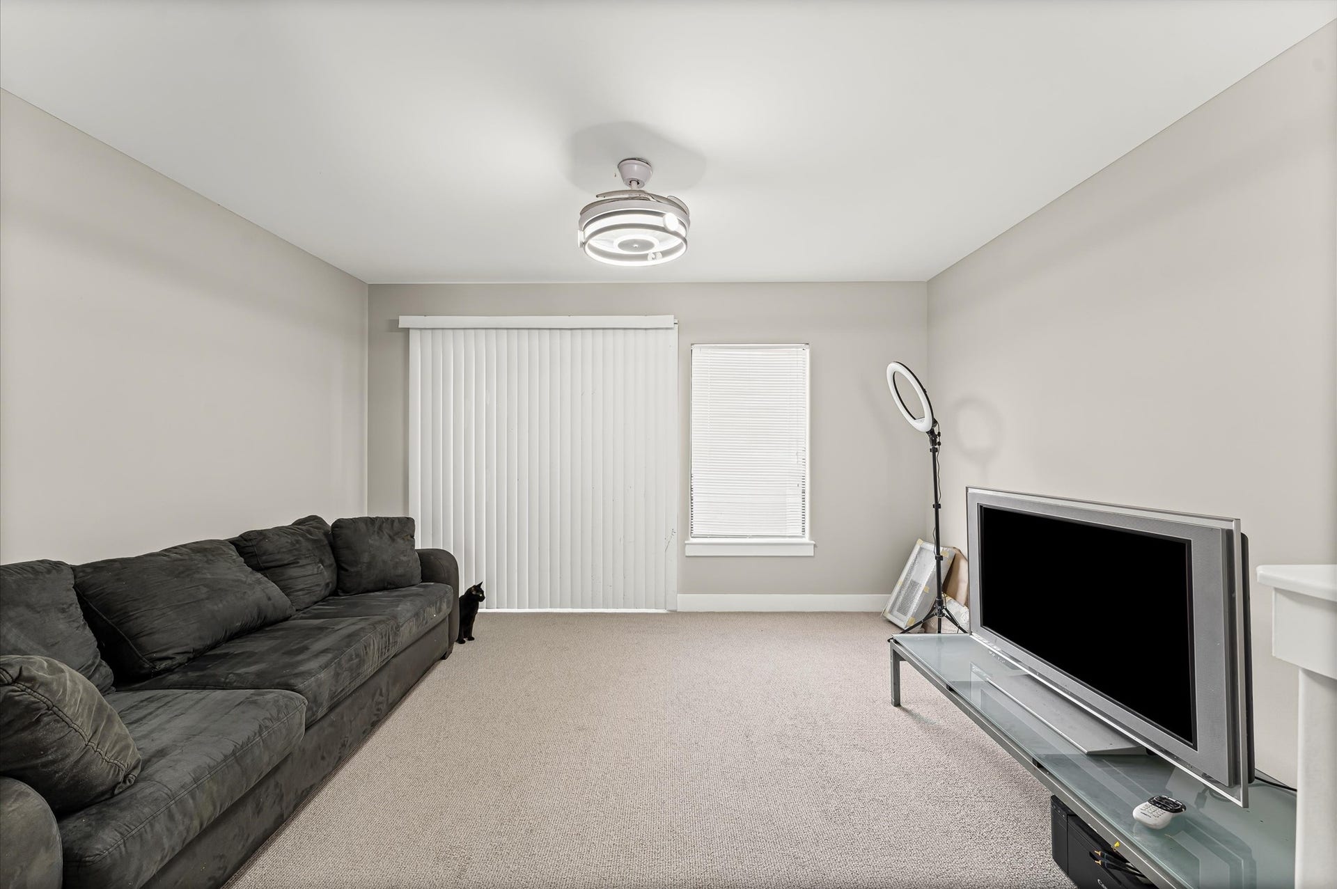 730 Ruthven, Houston, TX 77019