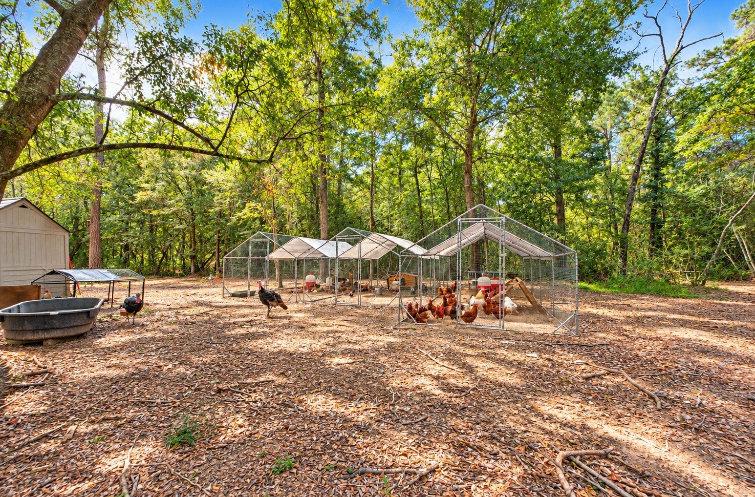 37753 Marias Way, Magnolia, TX 77354 Additional animal facilities include dedicated areas for chickens, turkeys and other small animals, adding to the property's versatile country-living amenities.
