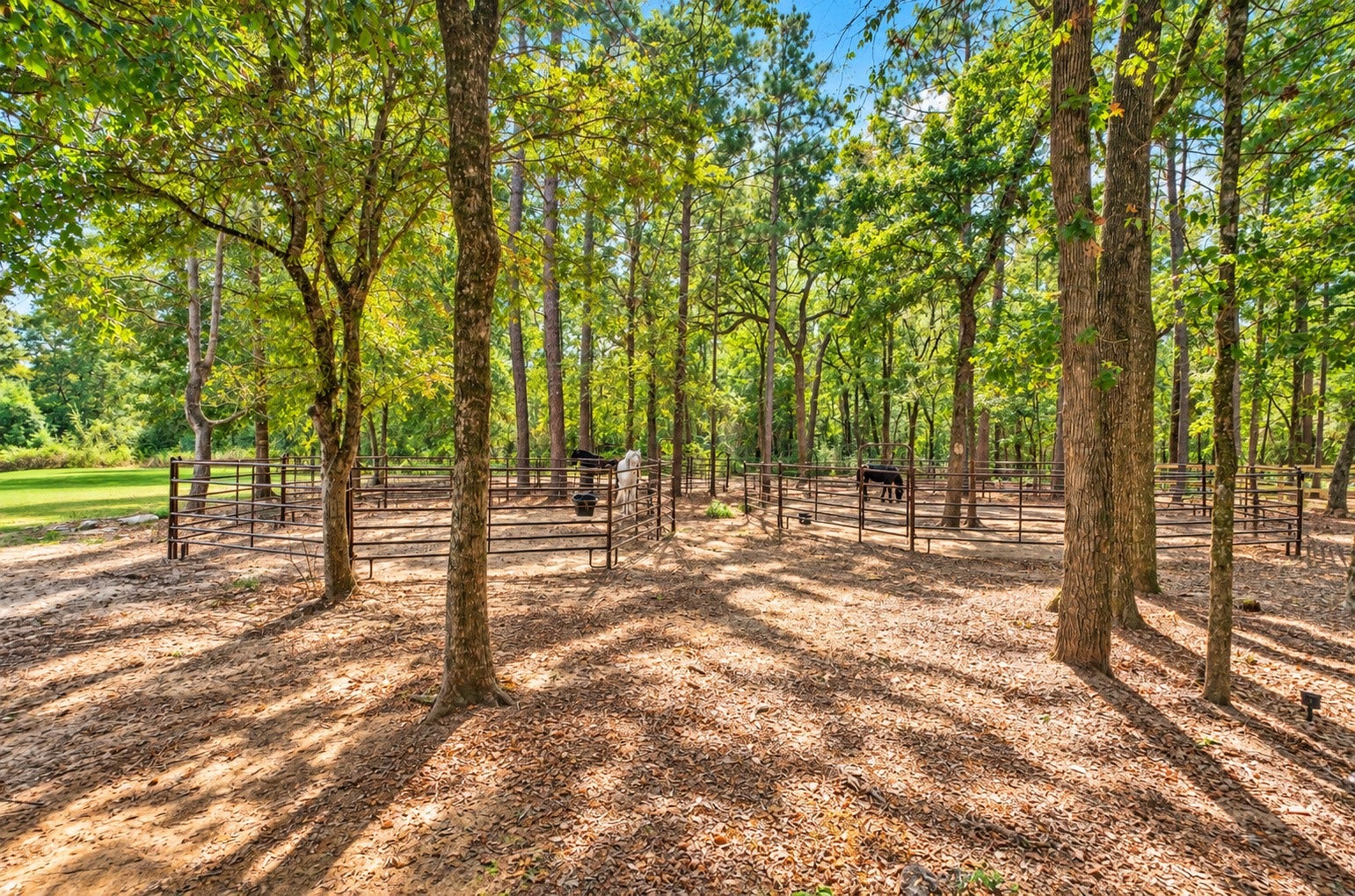 37753 Marias Way, Magnolia, TX 77354 Wooded corrals provide shaded, dedicated space for horses and other animals while preserving the natural character and privacy of the 10.5-acre property.