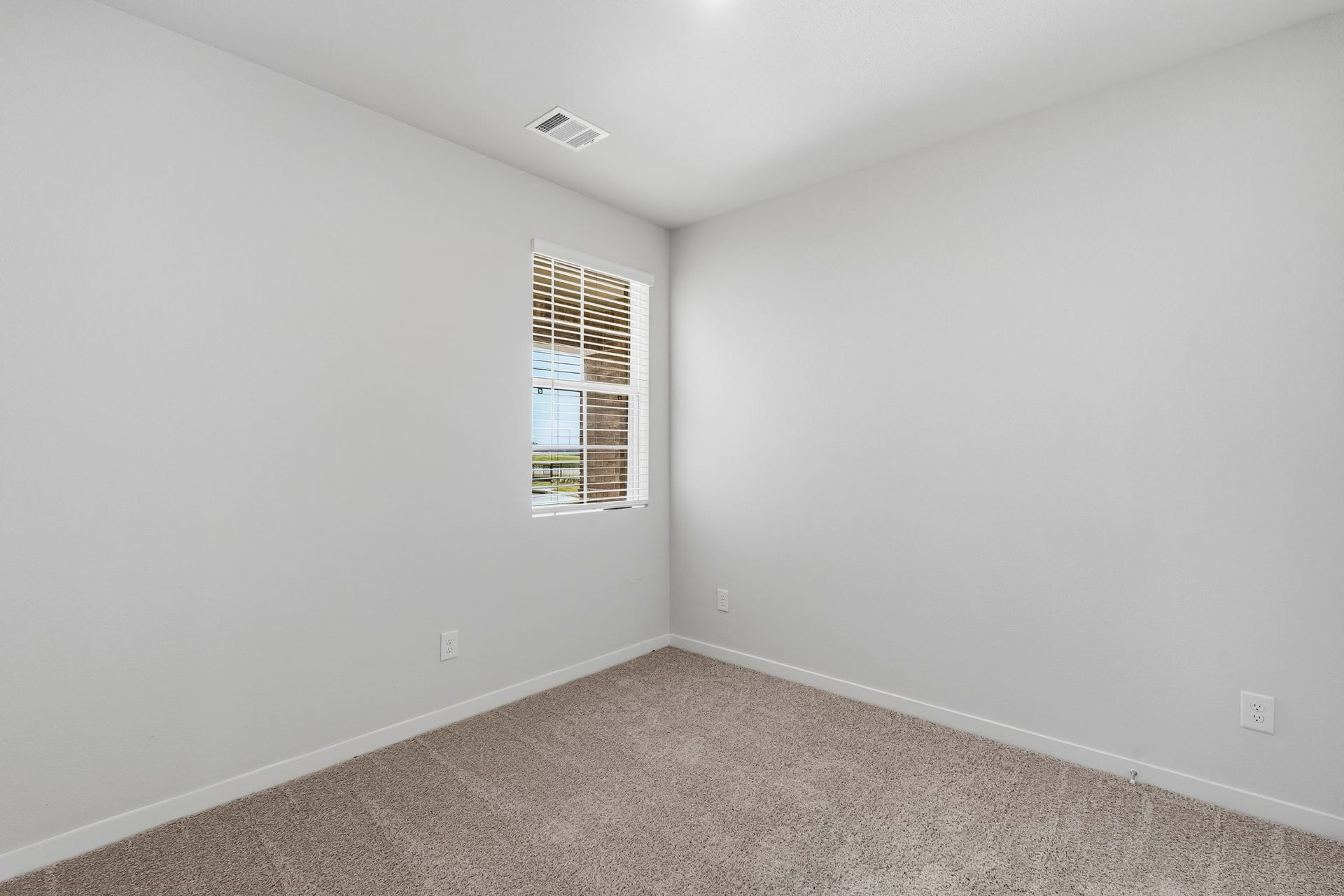 29222 Dandelion Sky Drive, Waller, TX 77484