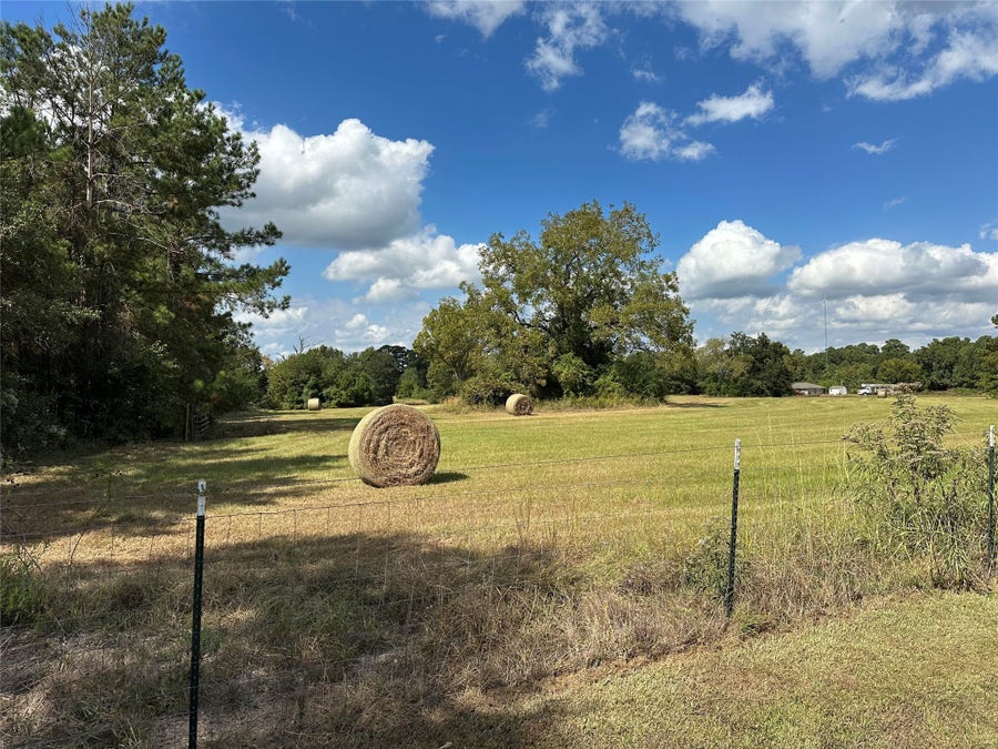 Property photo for 11 ac W Danville Rd, Willis, TX