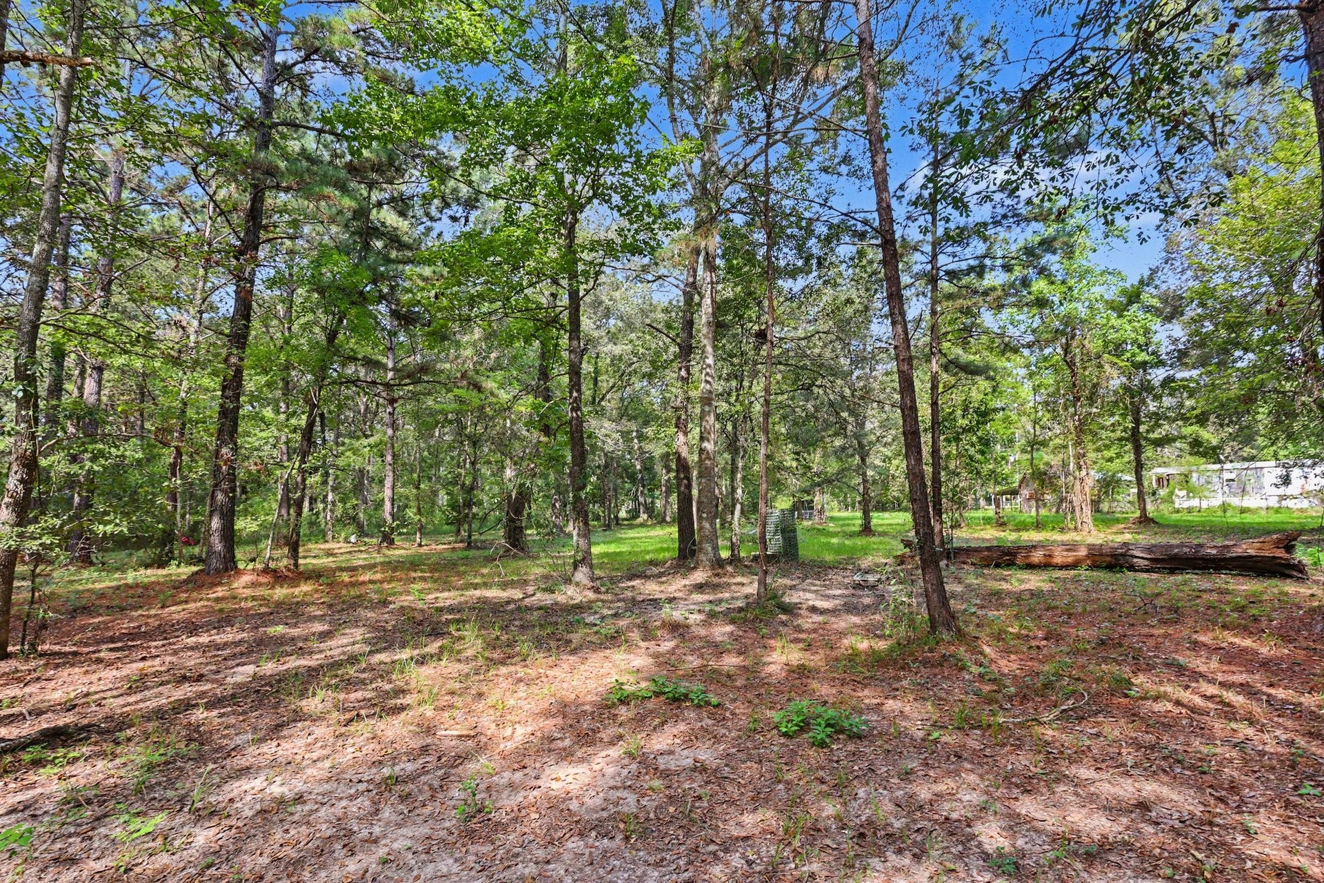 769 County Road 642, Dayton, TX 77535 769 County Road 642, Dayton, TX 77535