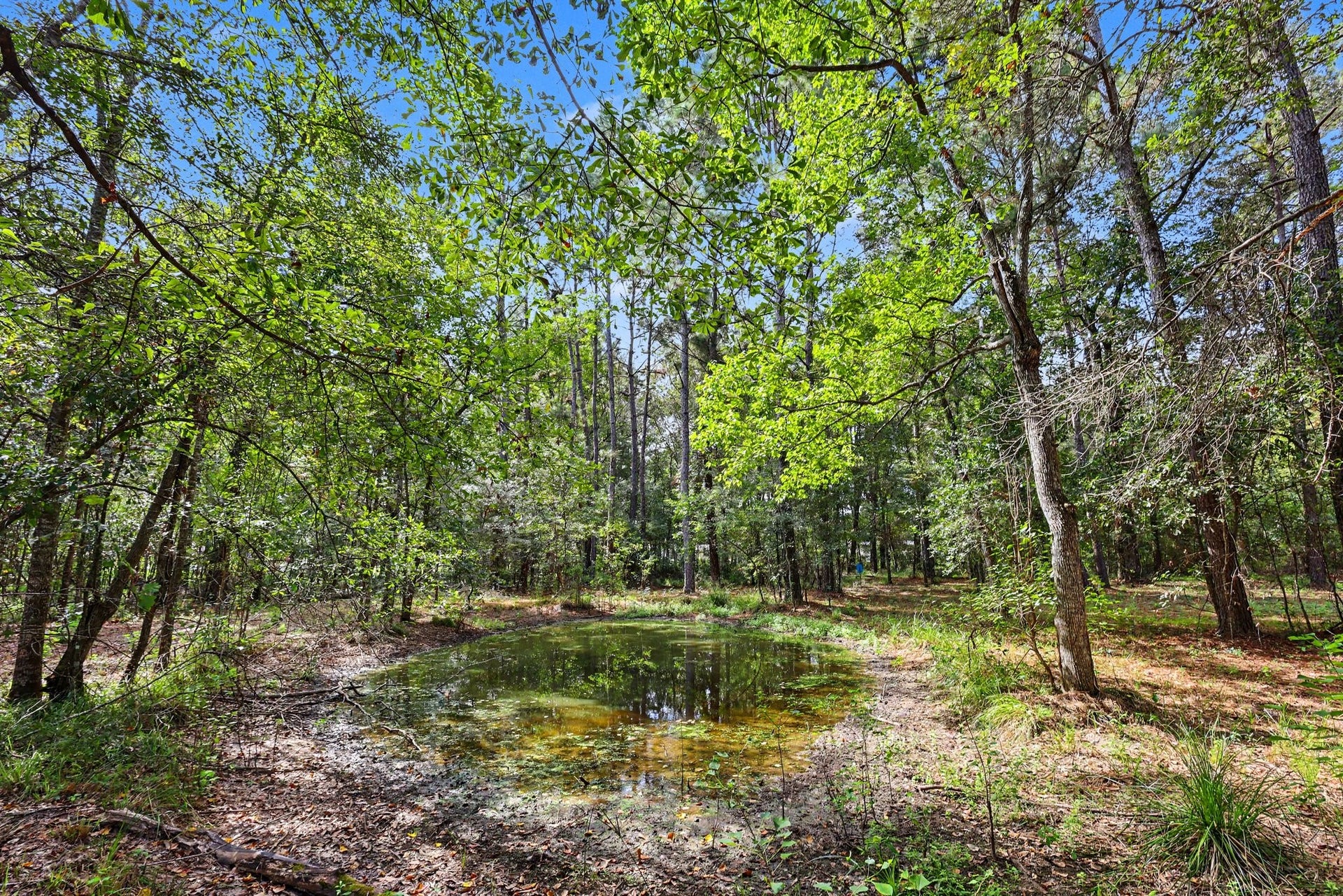 769 County Road 642, Dayton, TX 77535 769 County Road 642, Dayton, TX 77535