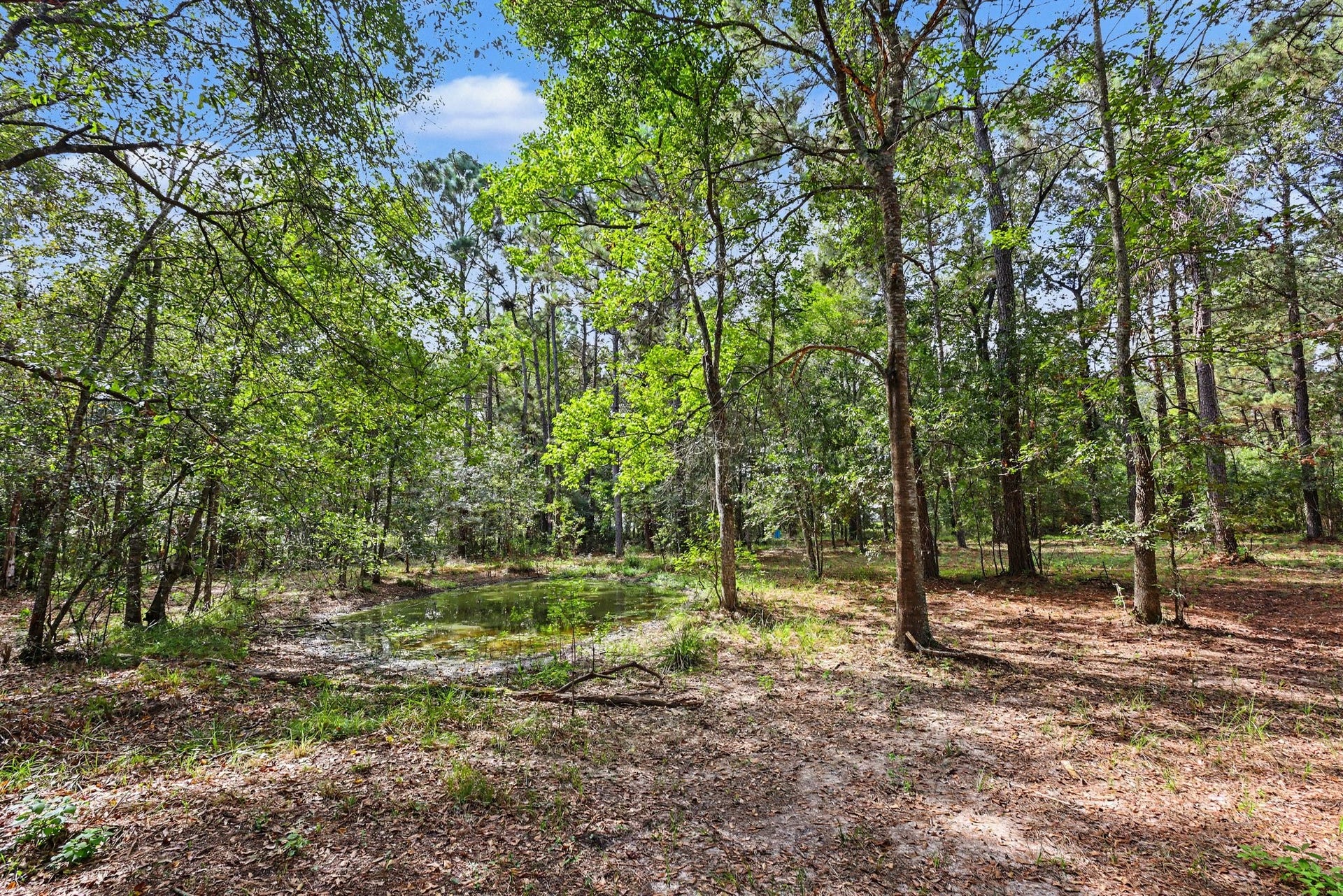 769 County Road 642, Dayton, TX 77535 769 County Road 642, Dayton, TX 77535