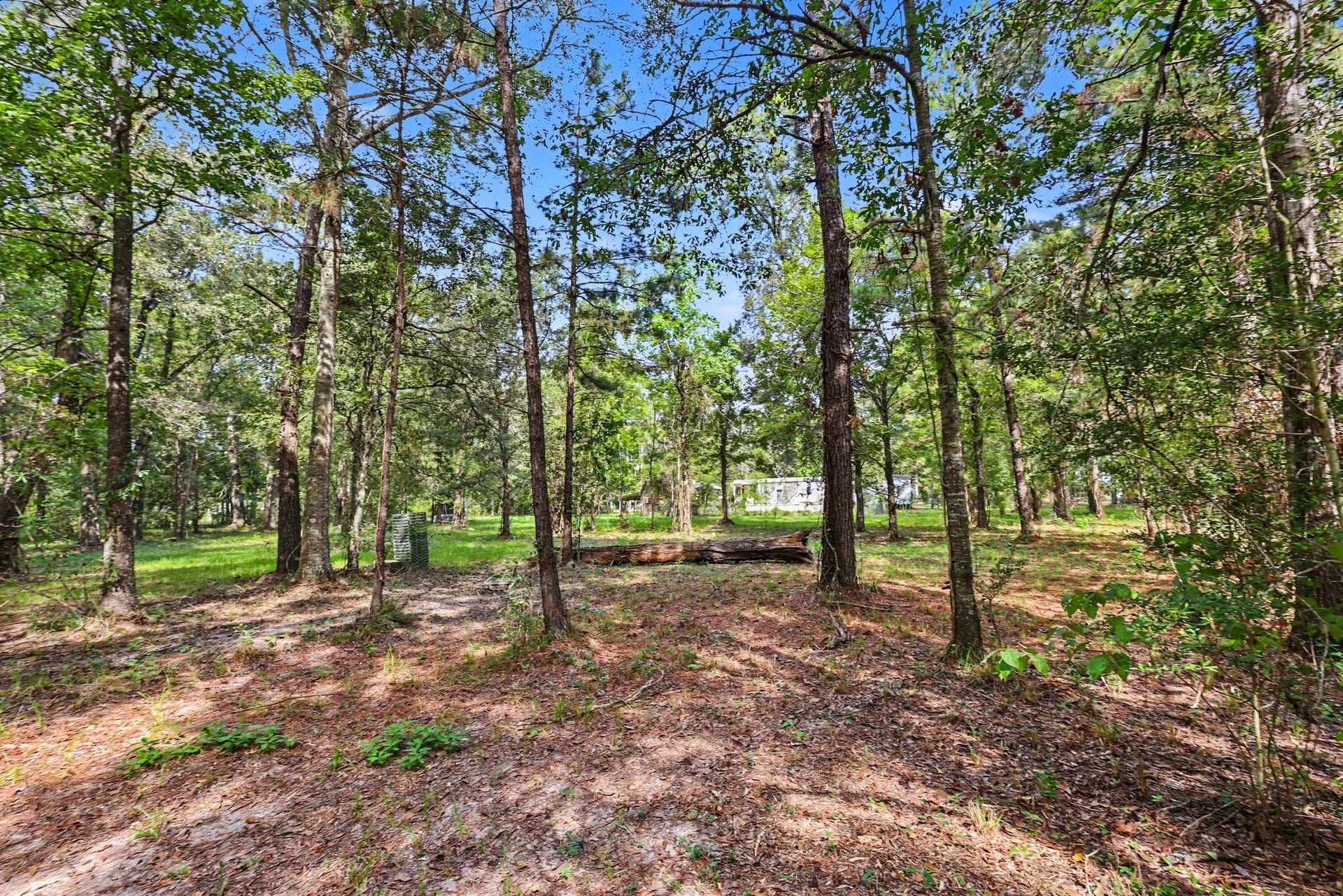 769 County Road 642, Dayton, TX 77535 769 County Road 642, Dayton, TX 77535