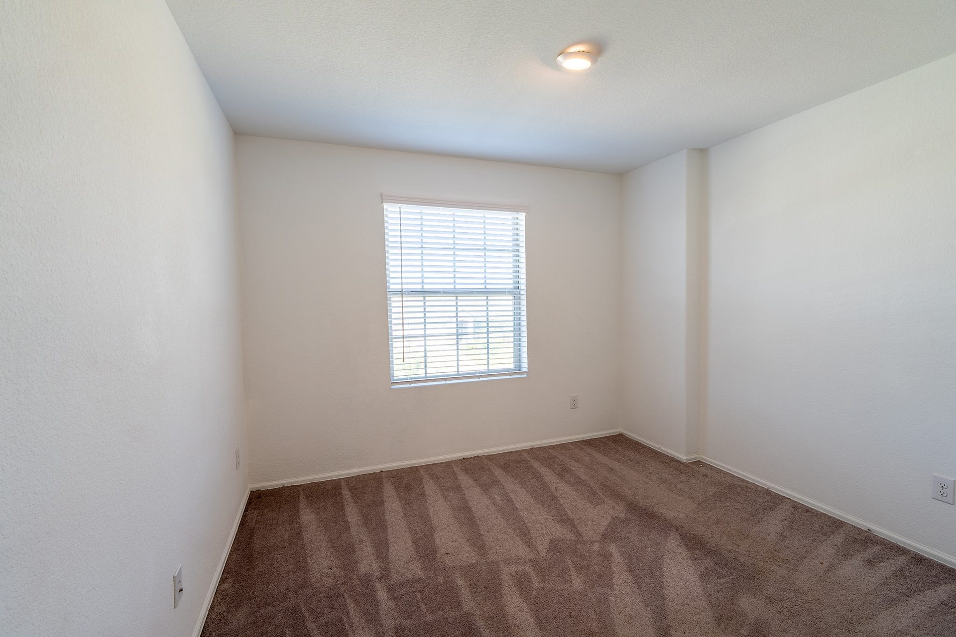 4919 Lenox Grove Lane, Fresno, TX 77583 4919 Lenox Grove Lane, Fresno, TX 77583
