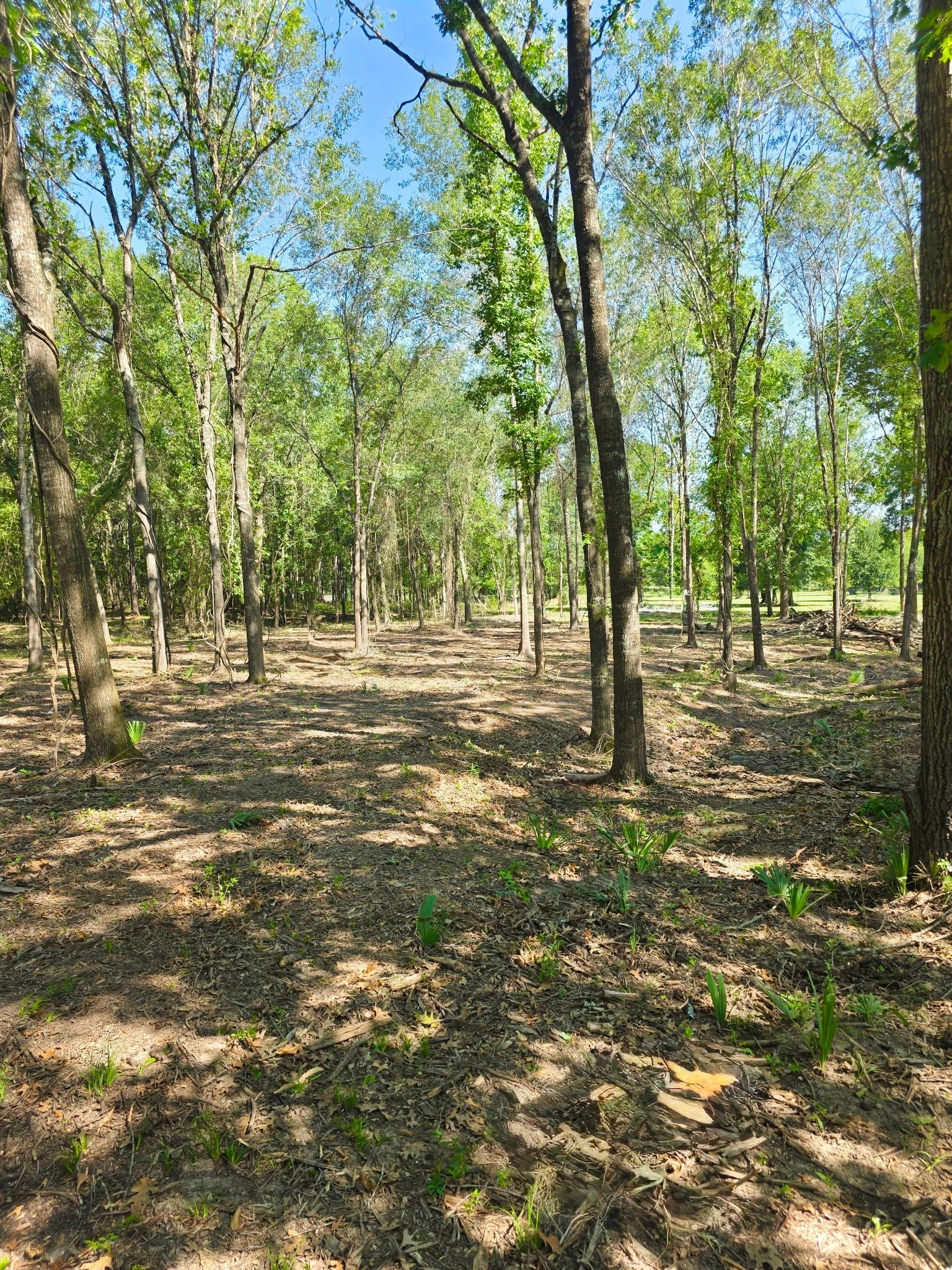Tract A Sharpwest Trail, Montgomery, TX 77316 Tract A Sharpwest Trail, Montgomery, TX 77316