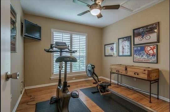 8 Buttonbush Court, The Woodlands, TX 77380 8 Buttonbush Court, The Woodlands, TX 77380