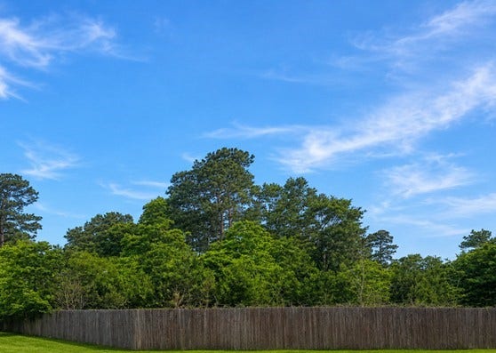 Property photo for 0 Spanish Oaks Drive, New Caney, TX