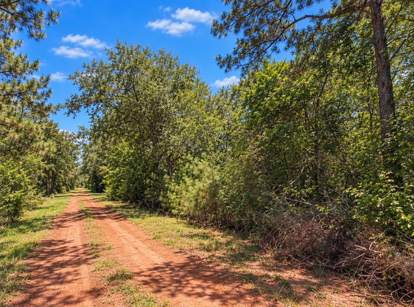 00 Deerwood Dr, Hempstead, TX 77445