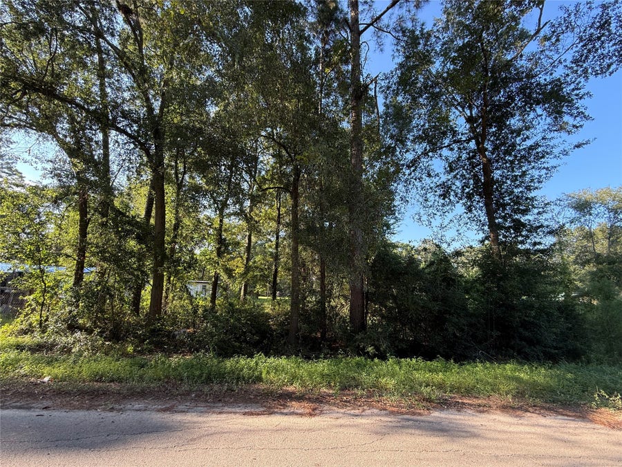 Property photo for 00 Spanish Oaks Dr, New Caney, TX