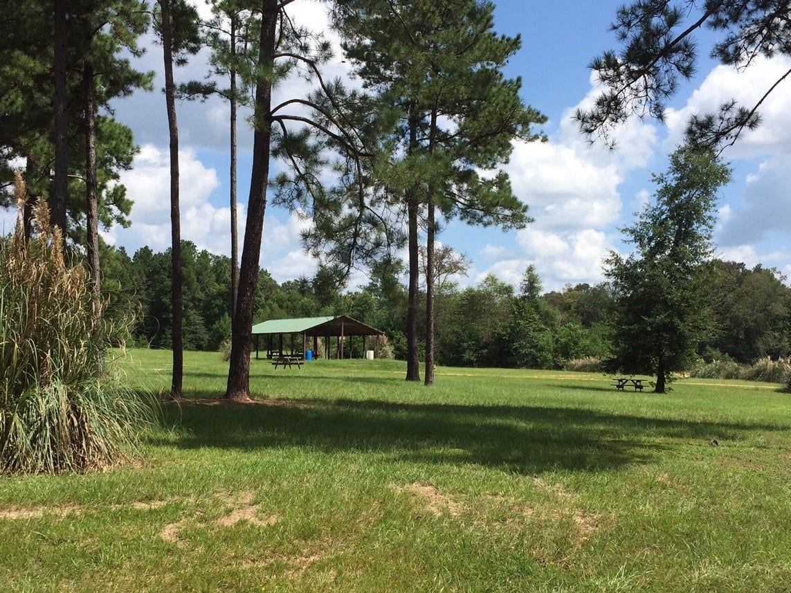 0 Bambi Court, Cleveland, TX 77328 0 Bambi Court, Cleveland, TX 77328