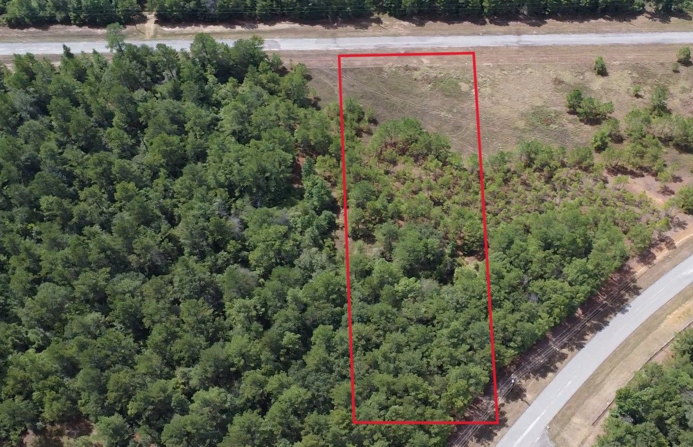 0 Bambi Court, Cleveland, TX 77328 0 Bambi Court, Cleveland, TX 77328