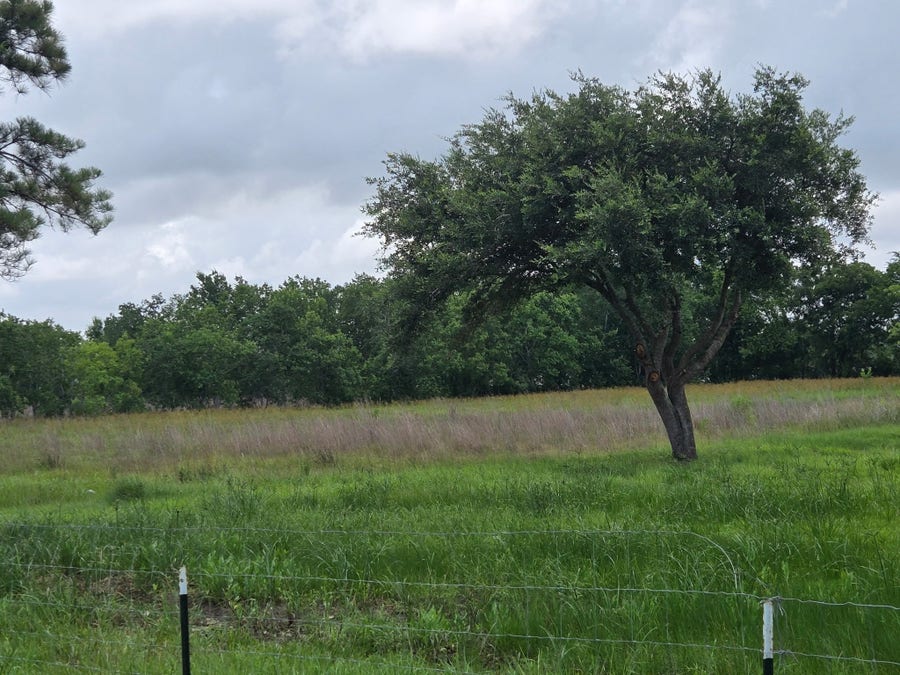 Property photo for 8235 County Road 128, Pearland, TX