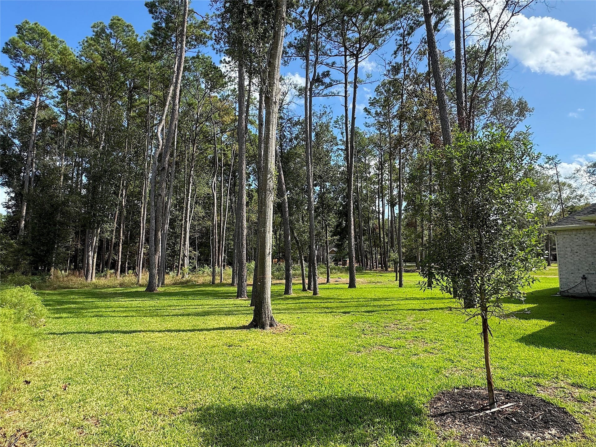 28510 Tallow Rock Lane, Huffman, TX 77336 28510 Tallow Rock Lane, Huffman, TX 77336