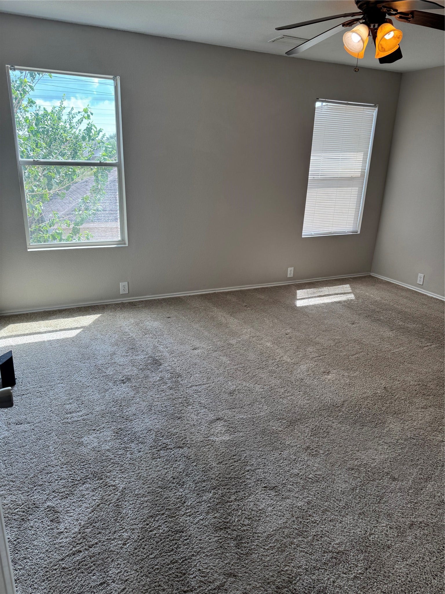 16867 Mammoth Springs Drive, Hockley, TX 77095 16867 Mammoth Springs Drive, Hockley, TX 77095