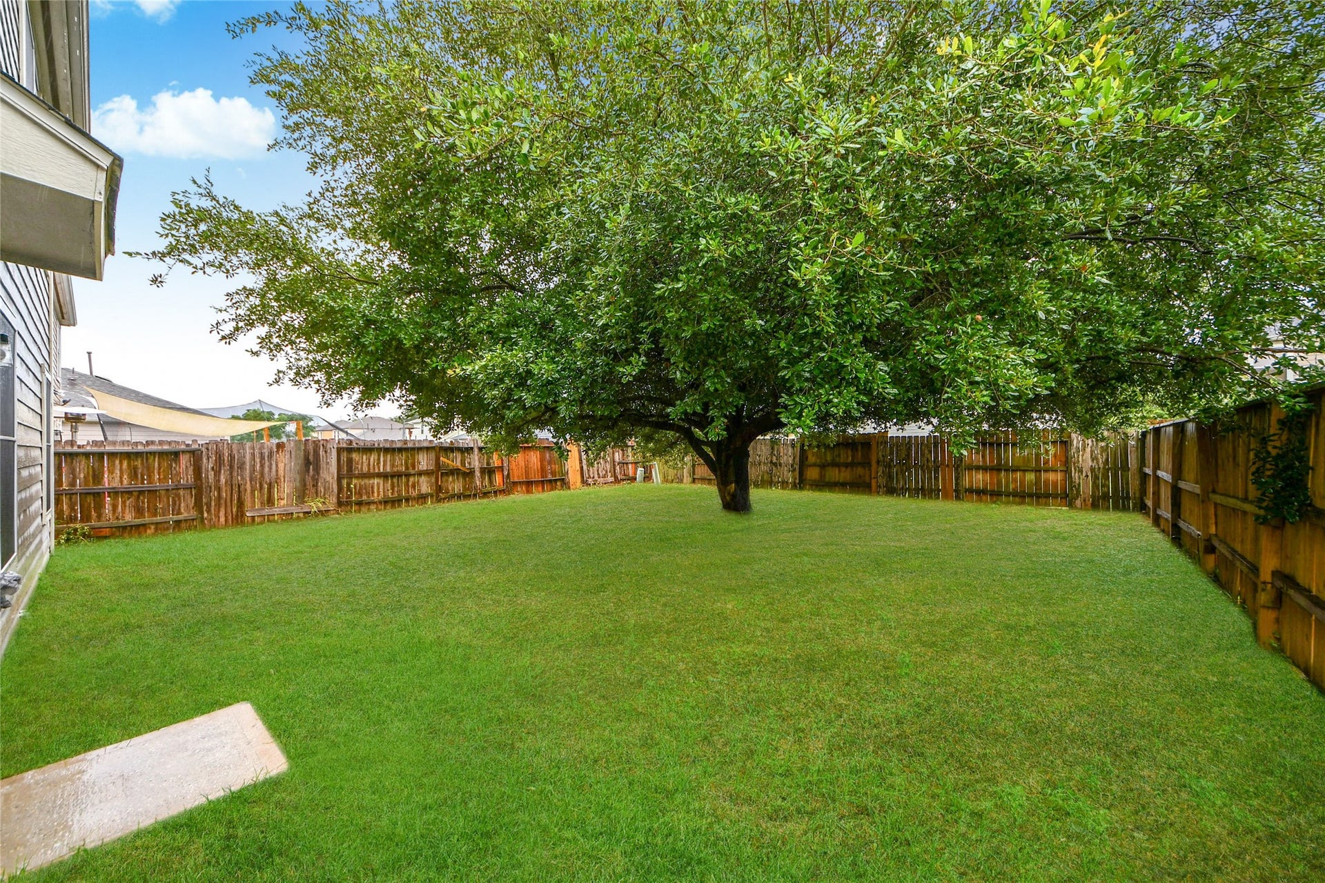 A lush, expansive backyard with a majestic tree offers a serene retreat perfect for relaxation and outdoor gatherings.