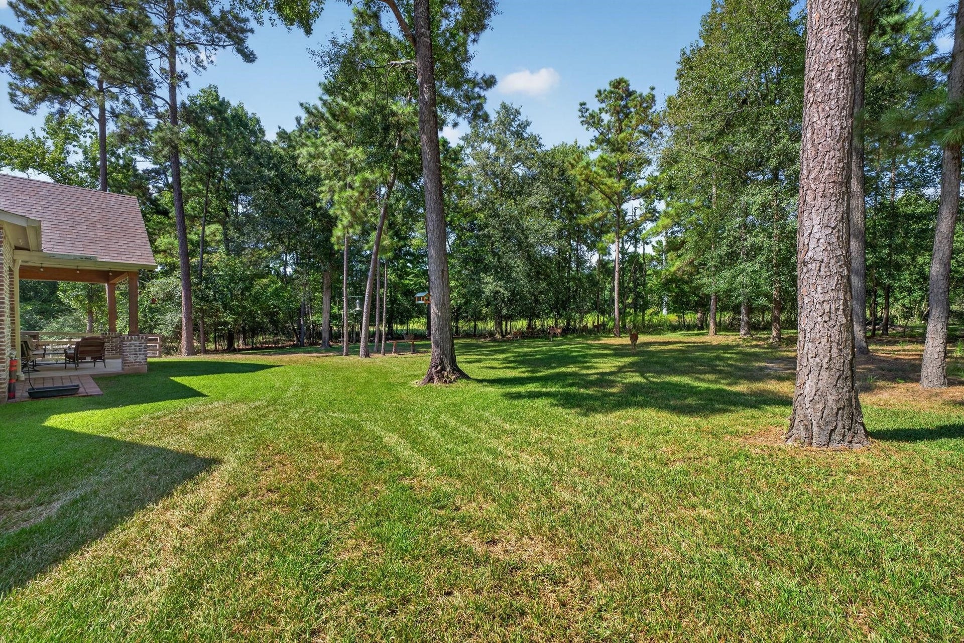 501 Corsair Court, Montgomery, TX 77316 The large lot offers plenty of space to add your dream space.