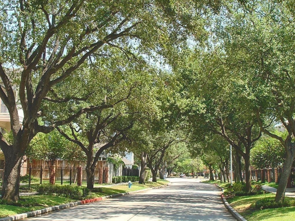 4041 Law Street, #606, Houston, TX 77005