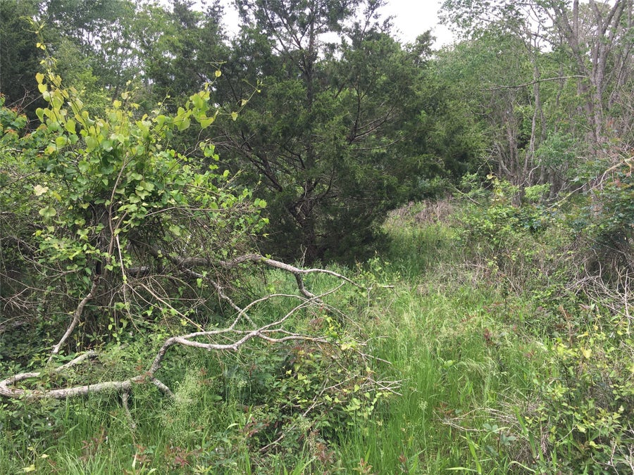 Property photo for 0 Donoho Street, Hempstead, TX